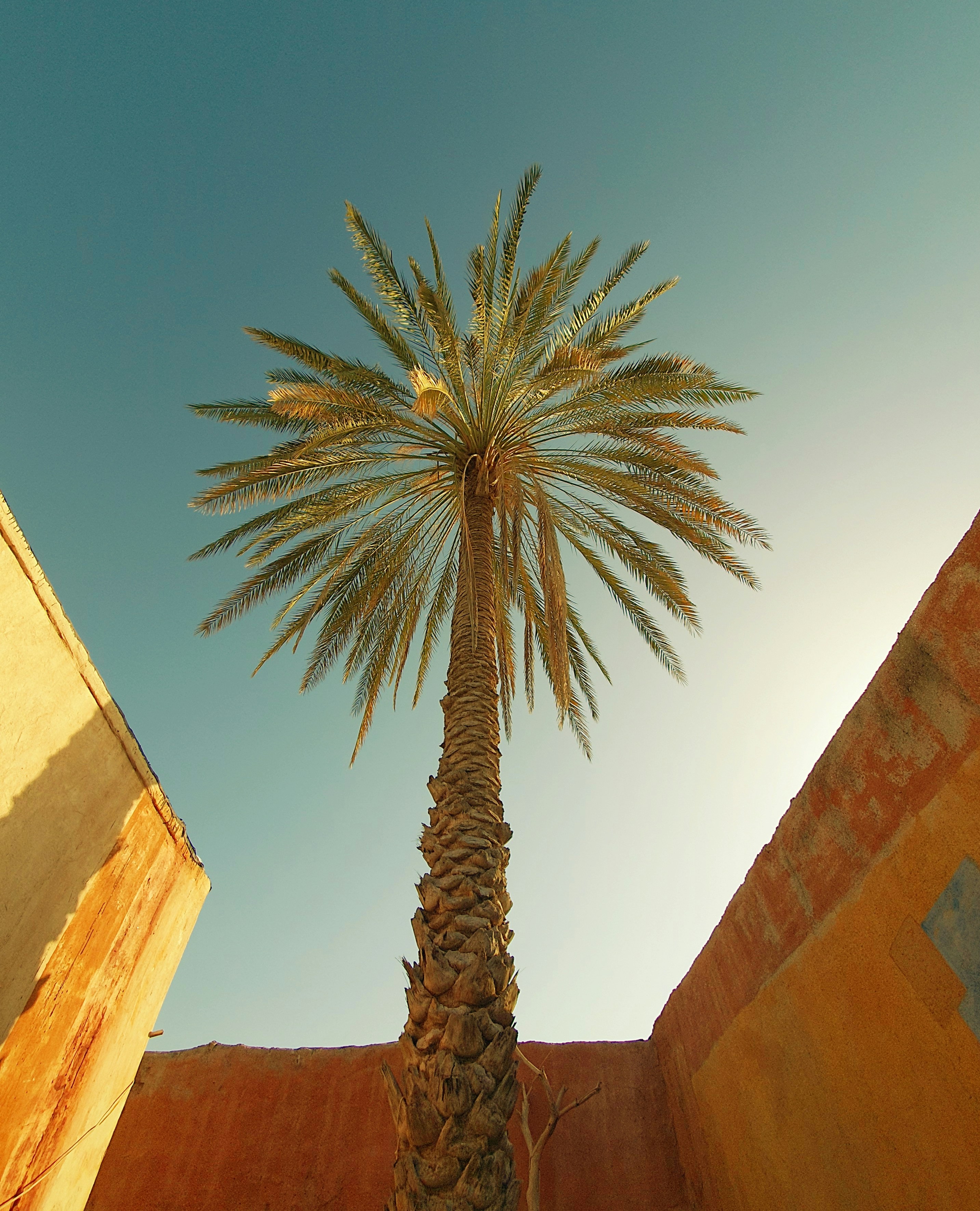 Photo by hasanalmasi