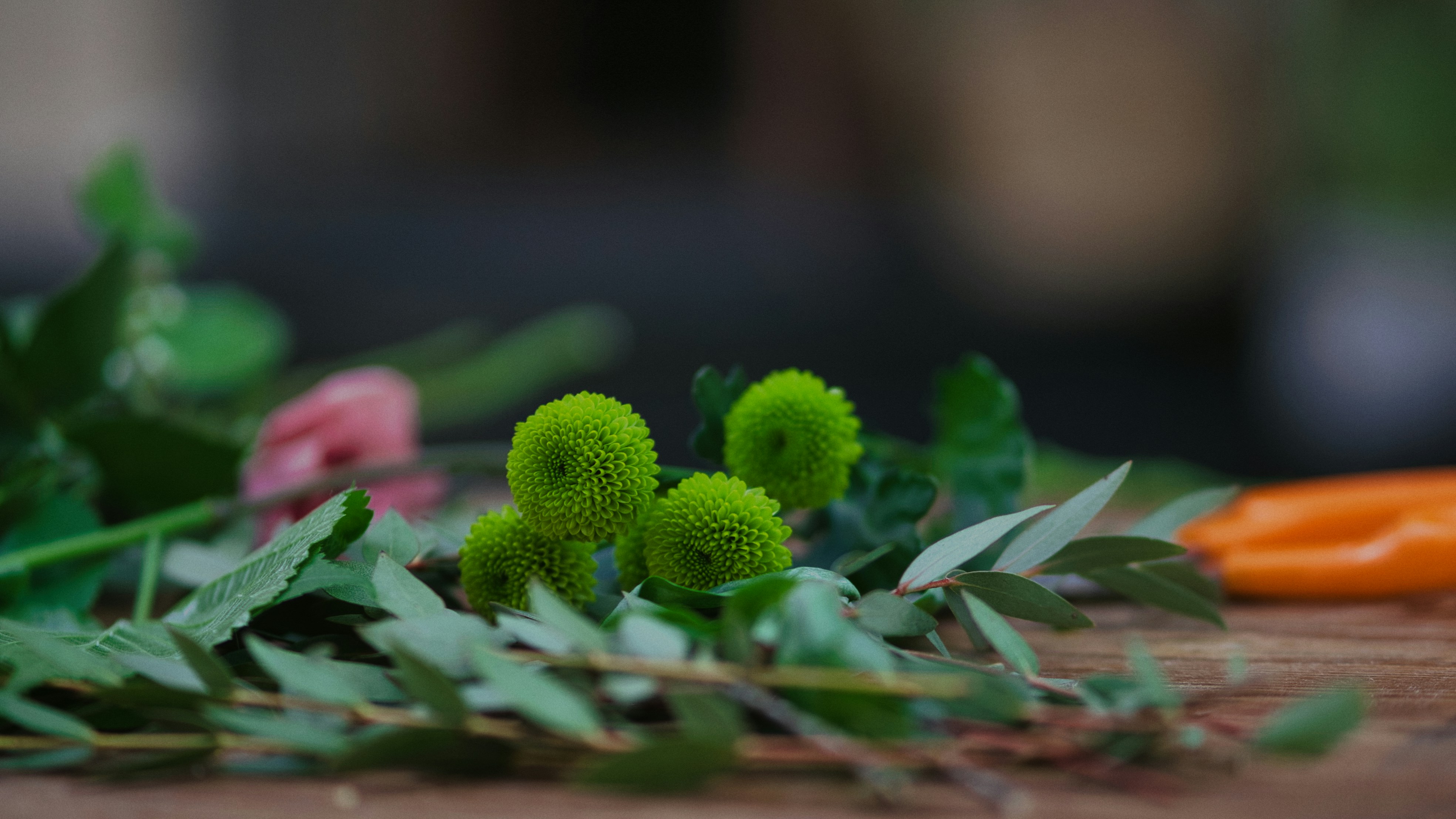 Photo by eugenechystiakov