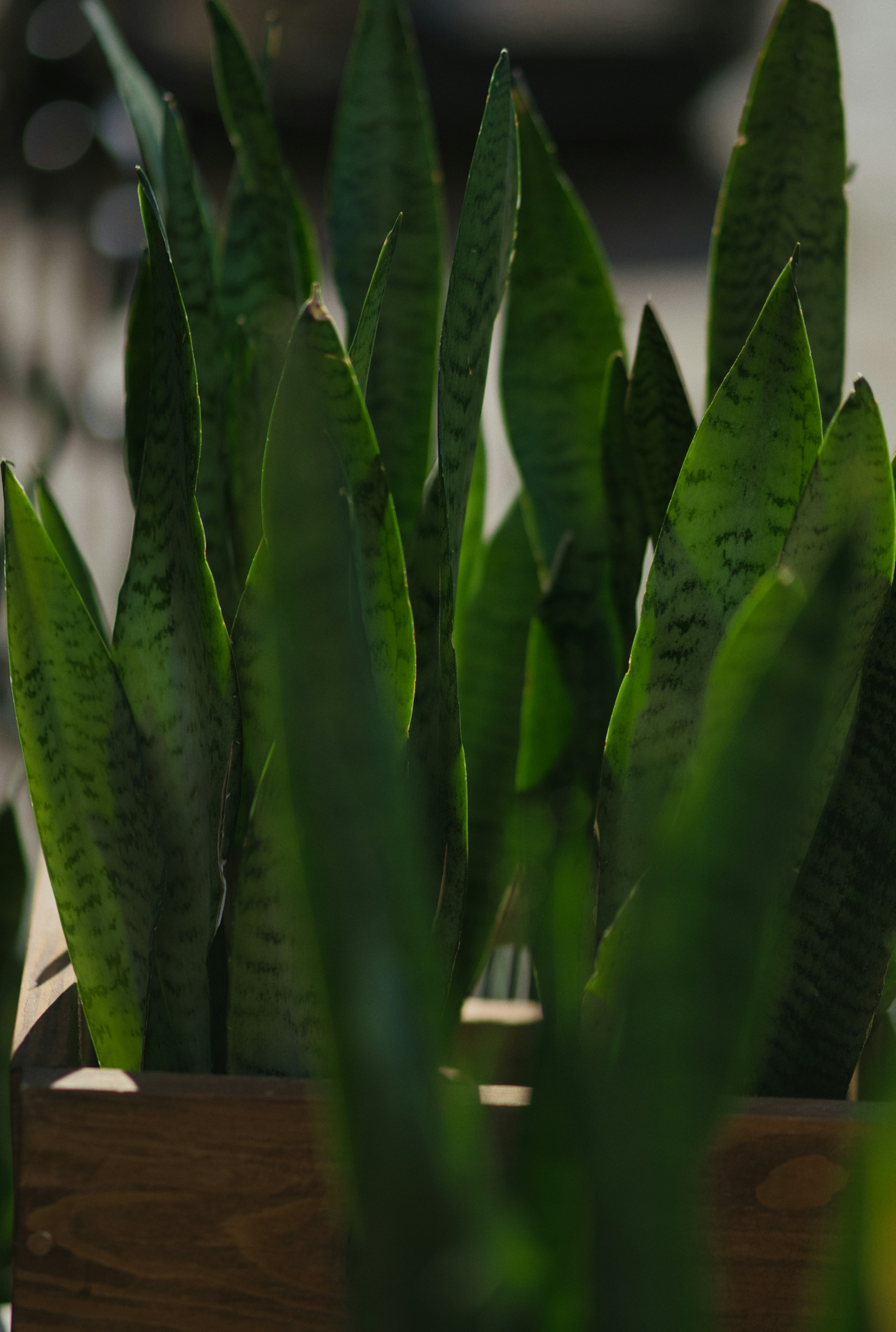 Photo by eugenechystiakov