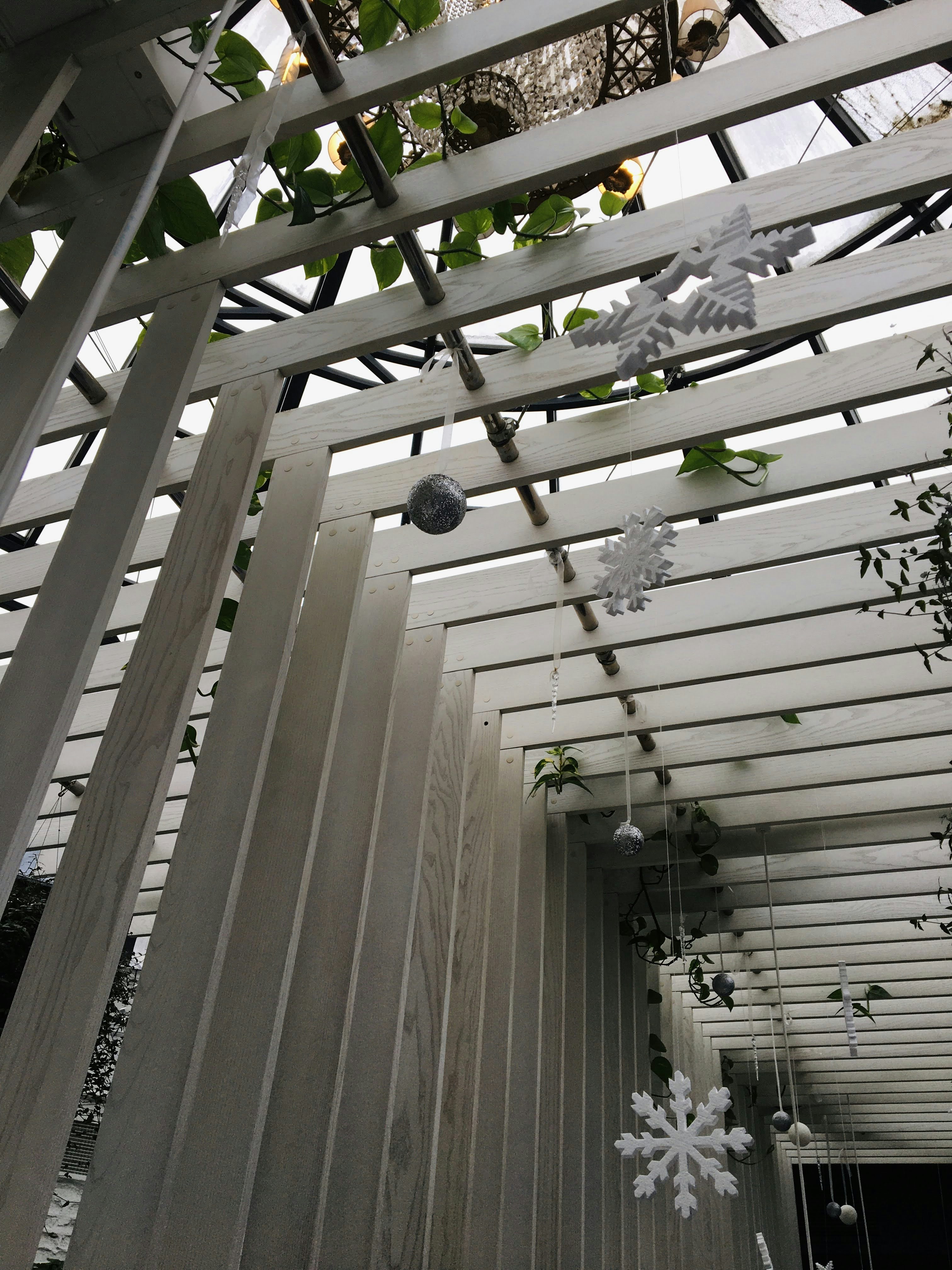 Photo by timesnewroman14