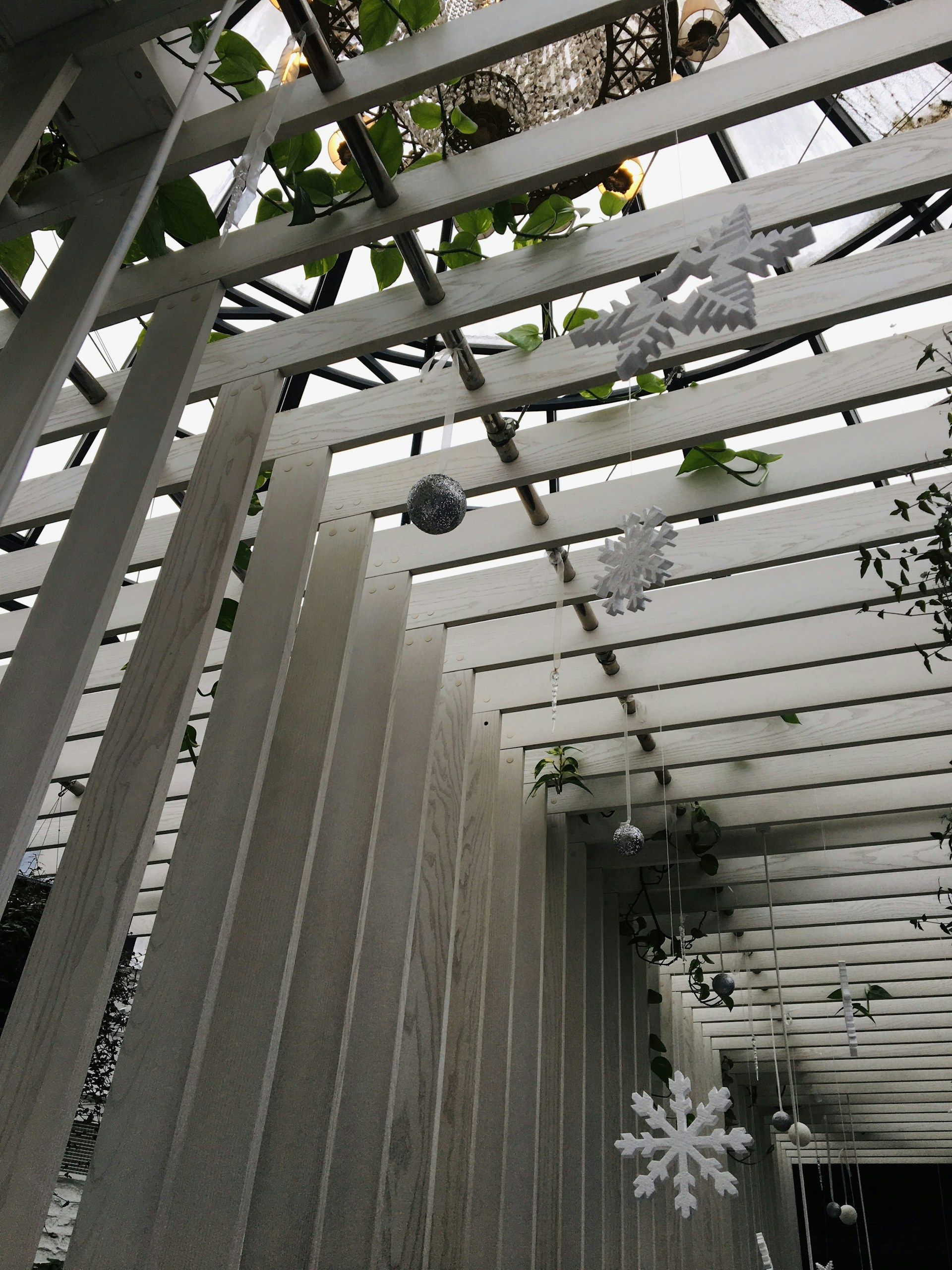 a group of birds in a cage