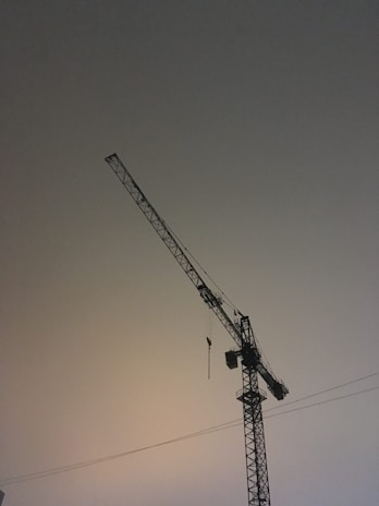 a crane on a cloudy day