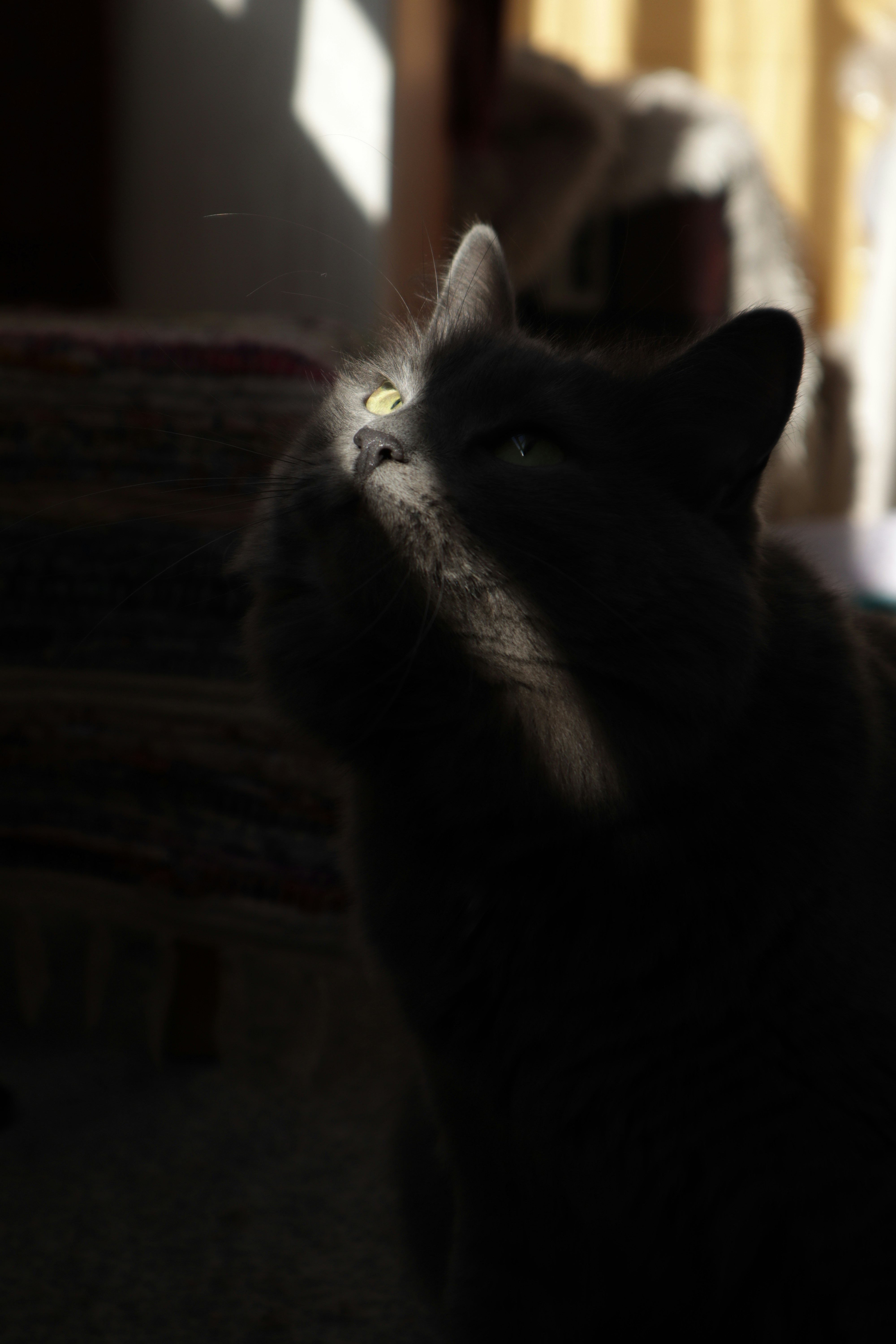 Photo by timesnewroman14