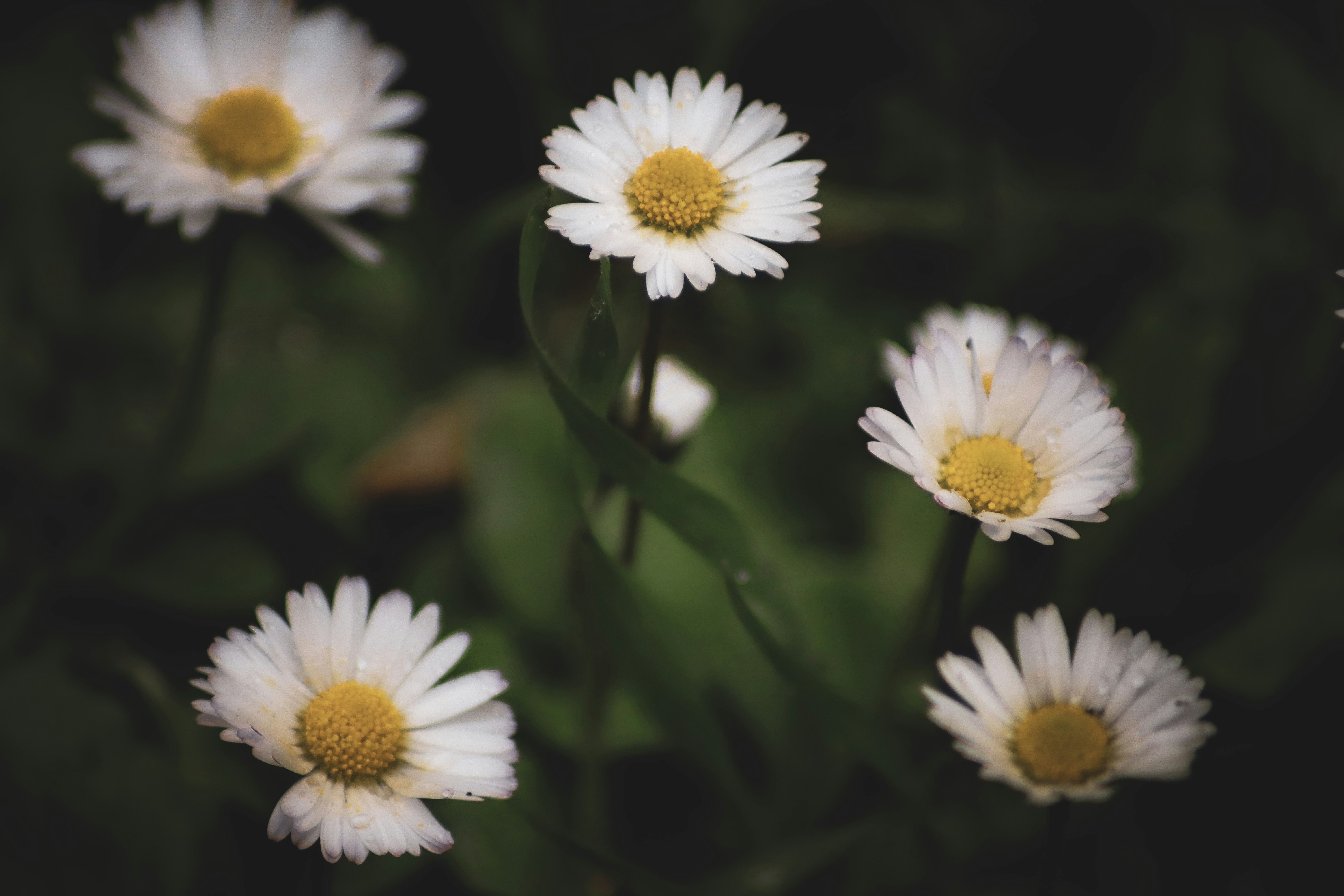 Photo by justbreakingstuff