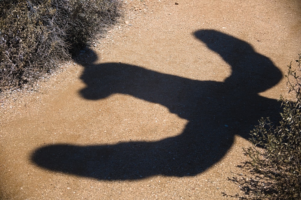 Una sombra de una persona en la arena