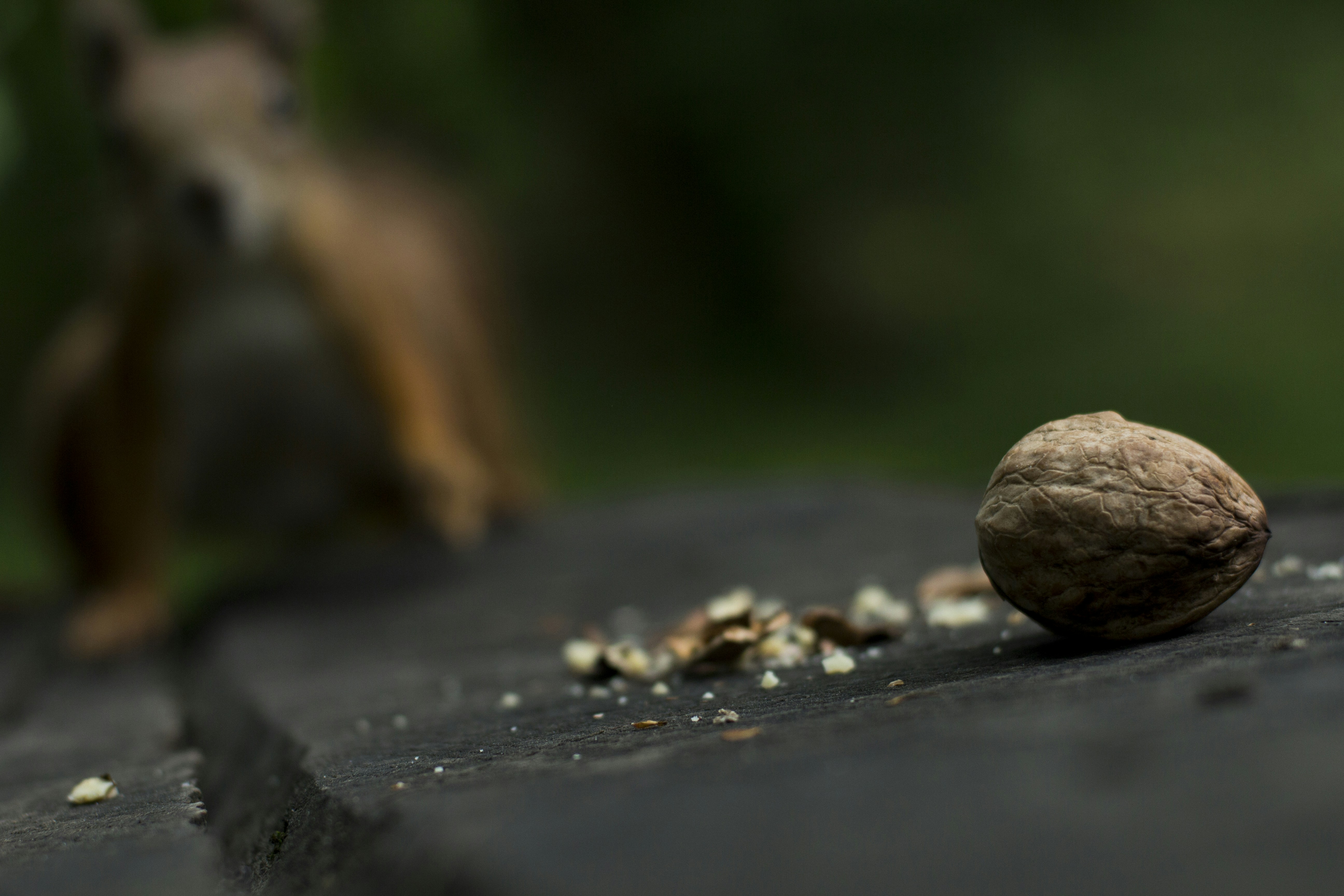 Photo by timesnewroman14