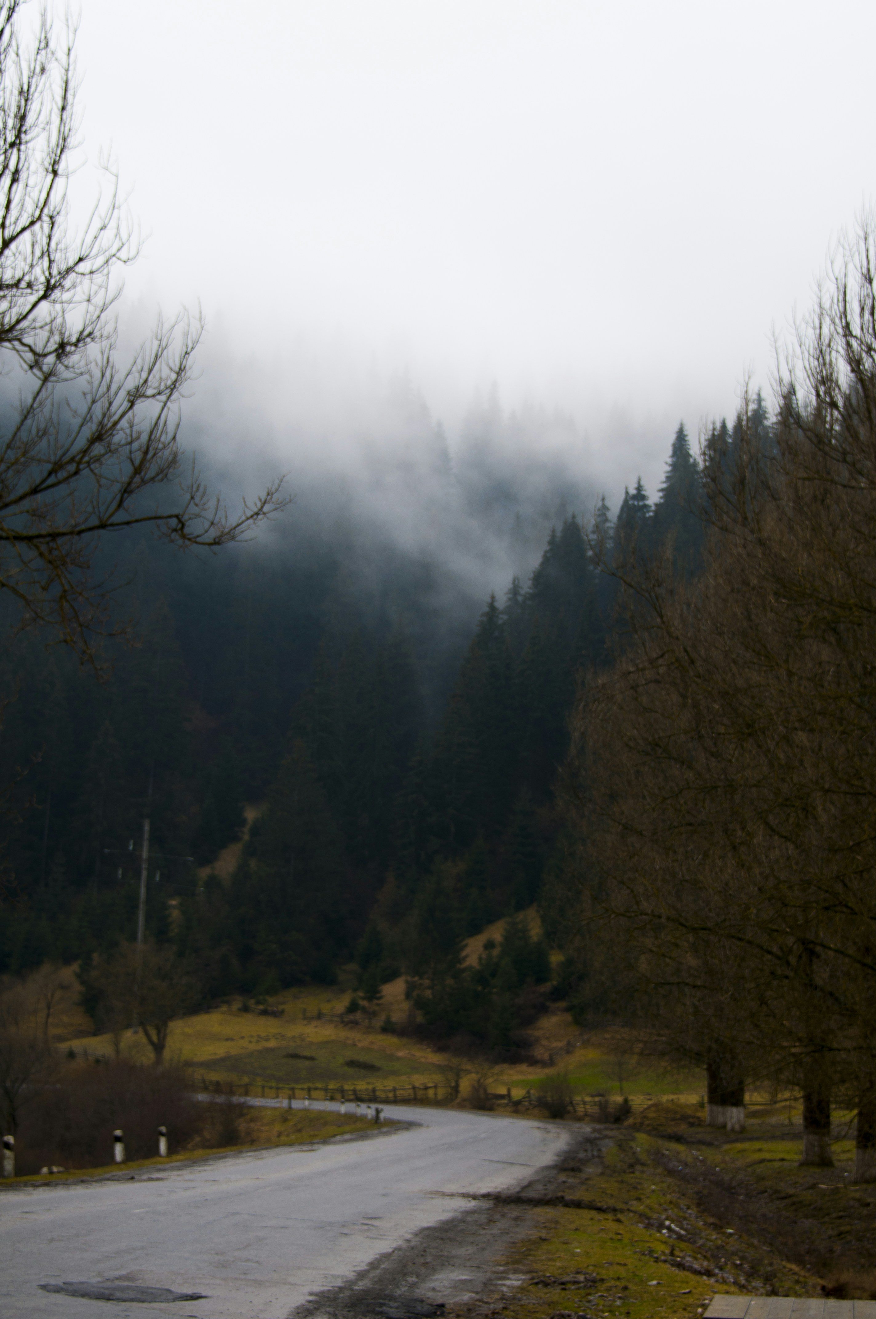 Photo by timesnewroman14