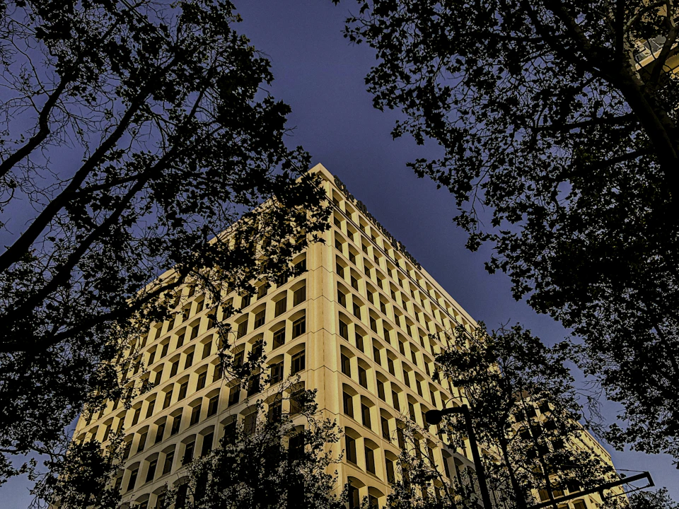 The image depicts a tall, rectangular building with numerous windows and balconies on its facade. The building is situated amidst trees, creating a contrast between the man-made structure and nature. The perspective of the photo is taken from below, looking up at the building, which emphasizes its height and grandeur.