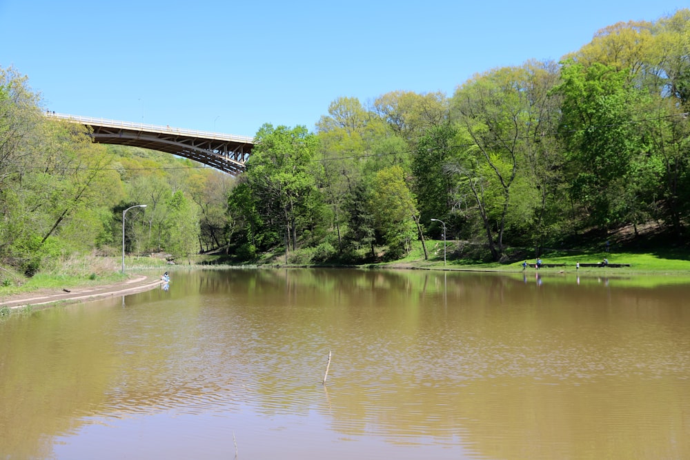 a river with a bridge over it