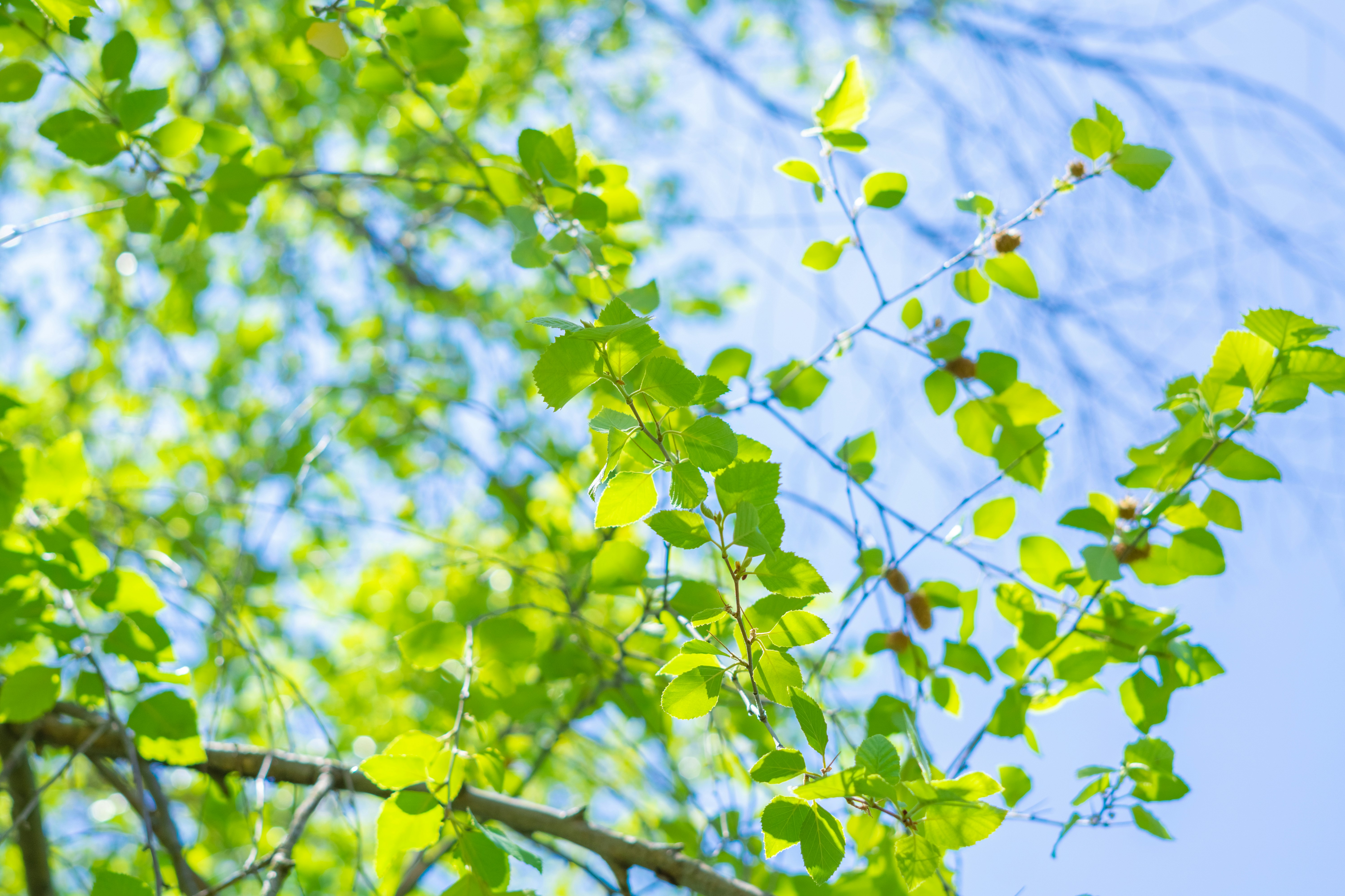 Photo by spencer_demera