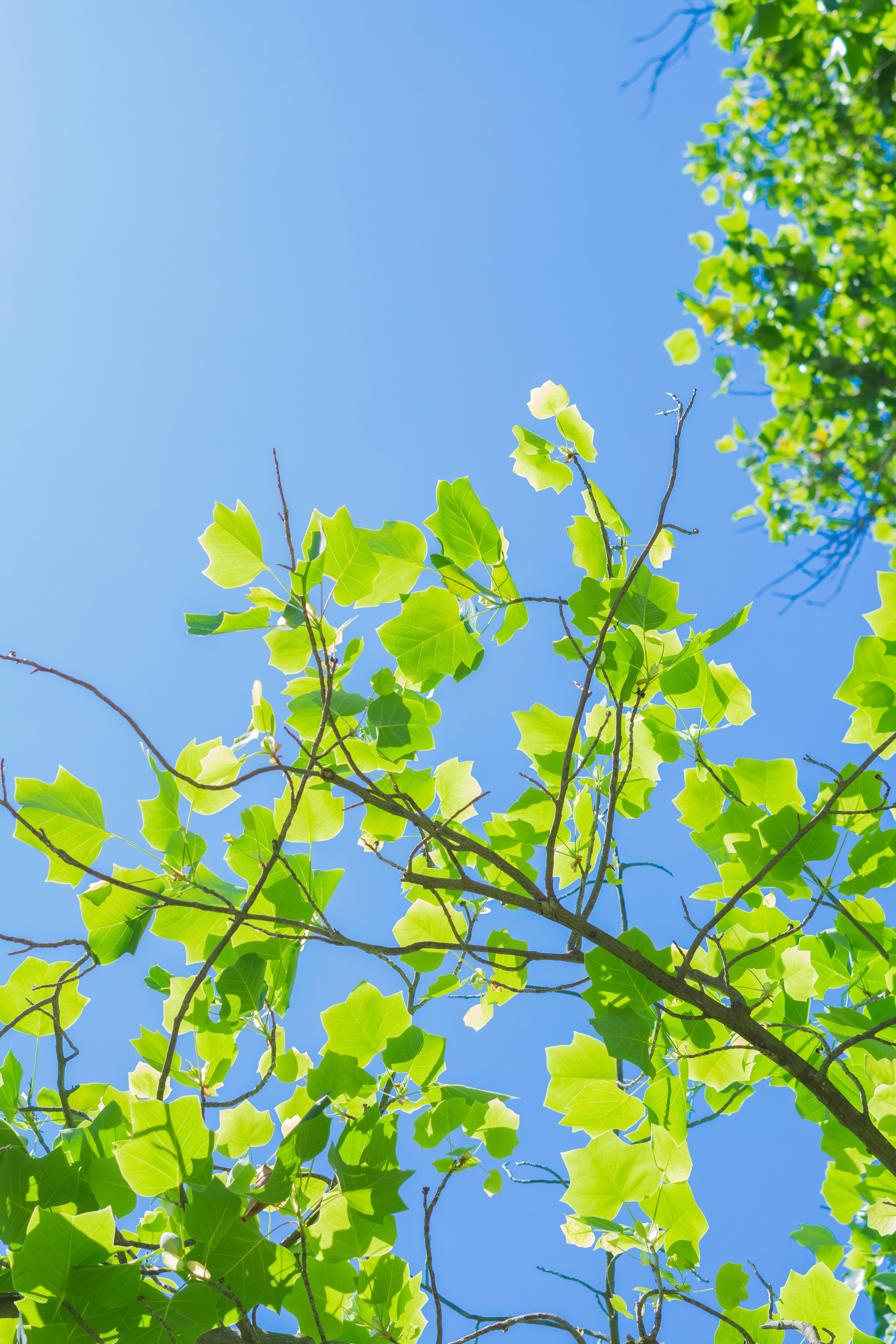 Photo by spencer_demera