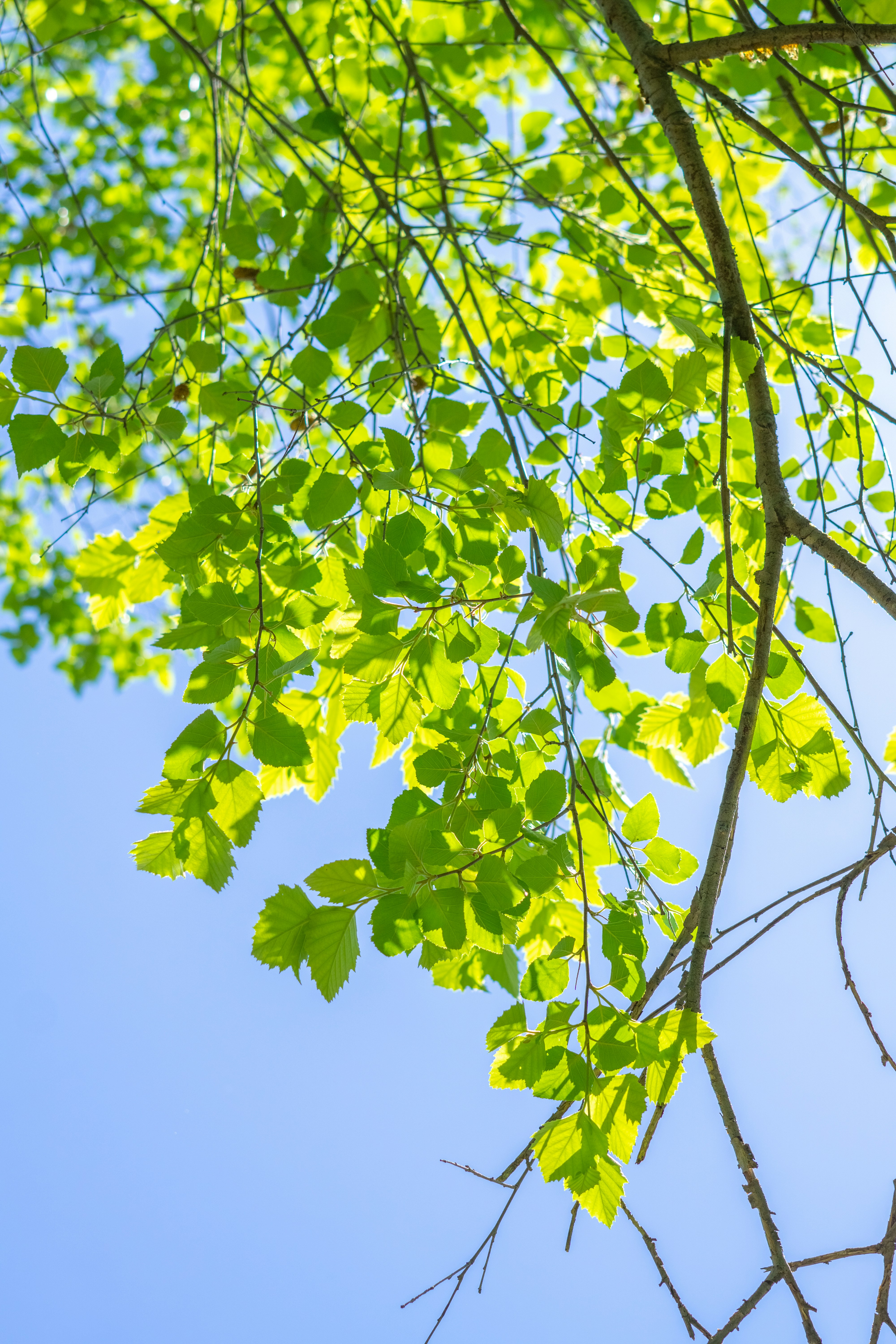 Photo by spencer_demera