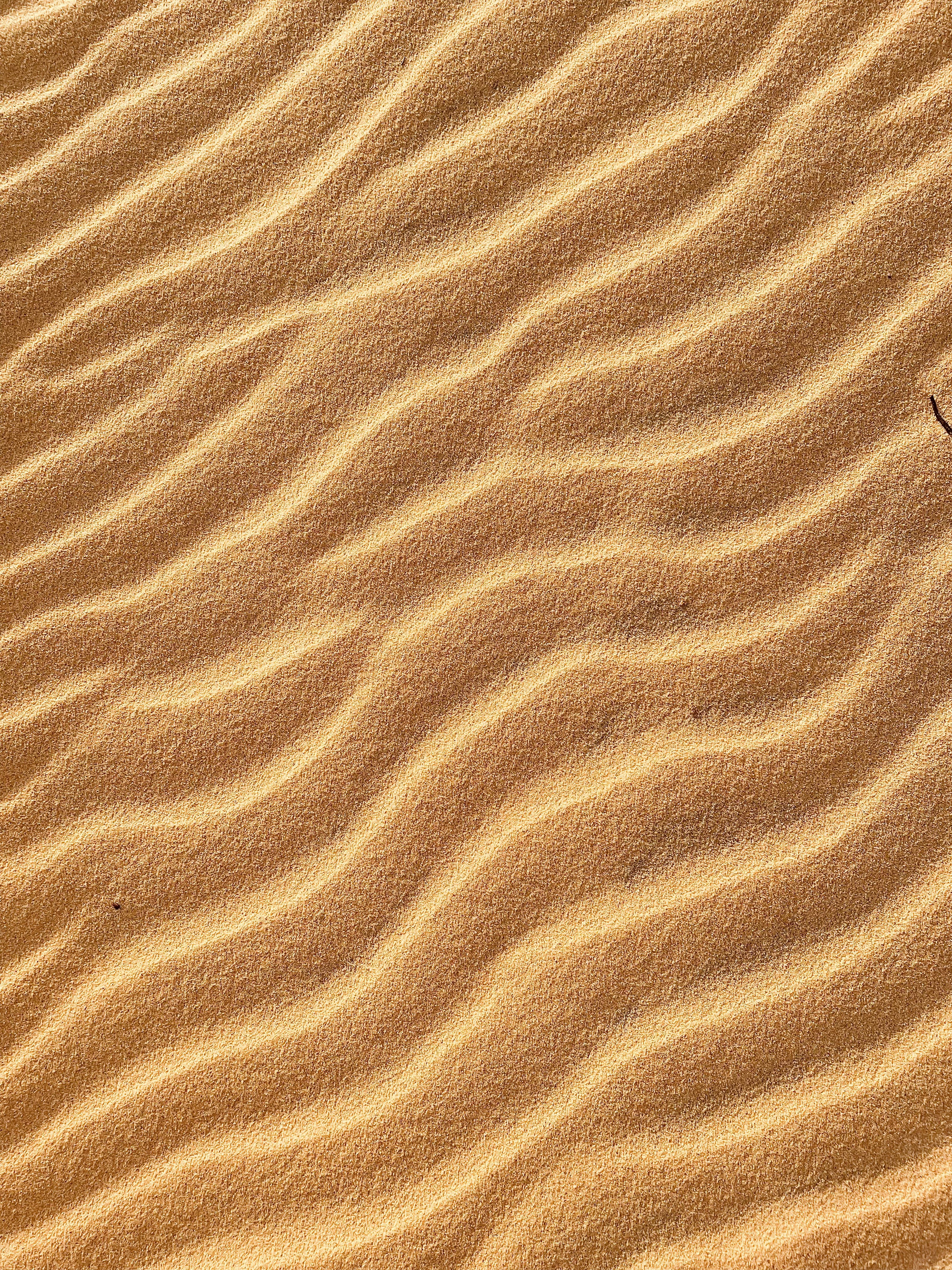 Photo by andreycamara