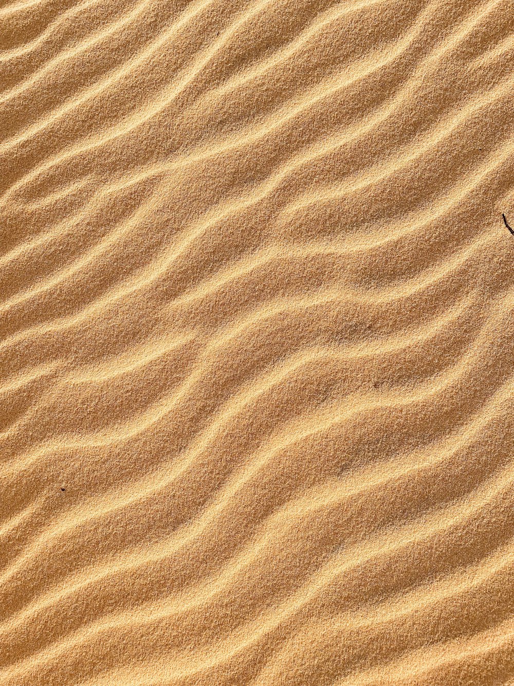 a close up of a person's hair