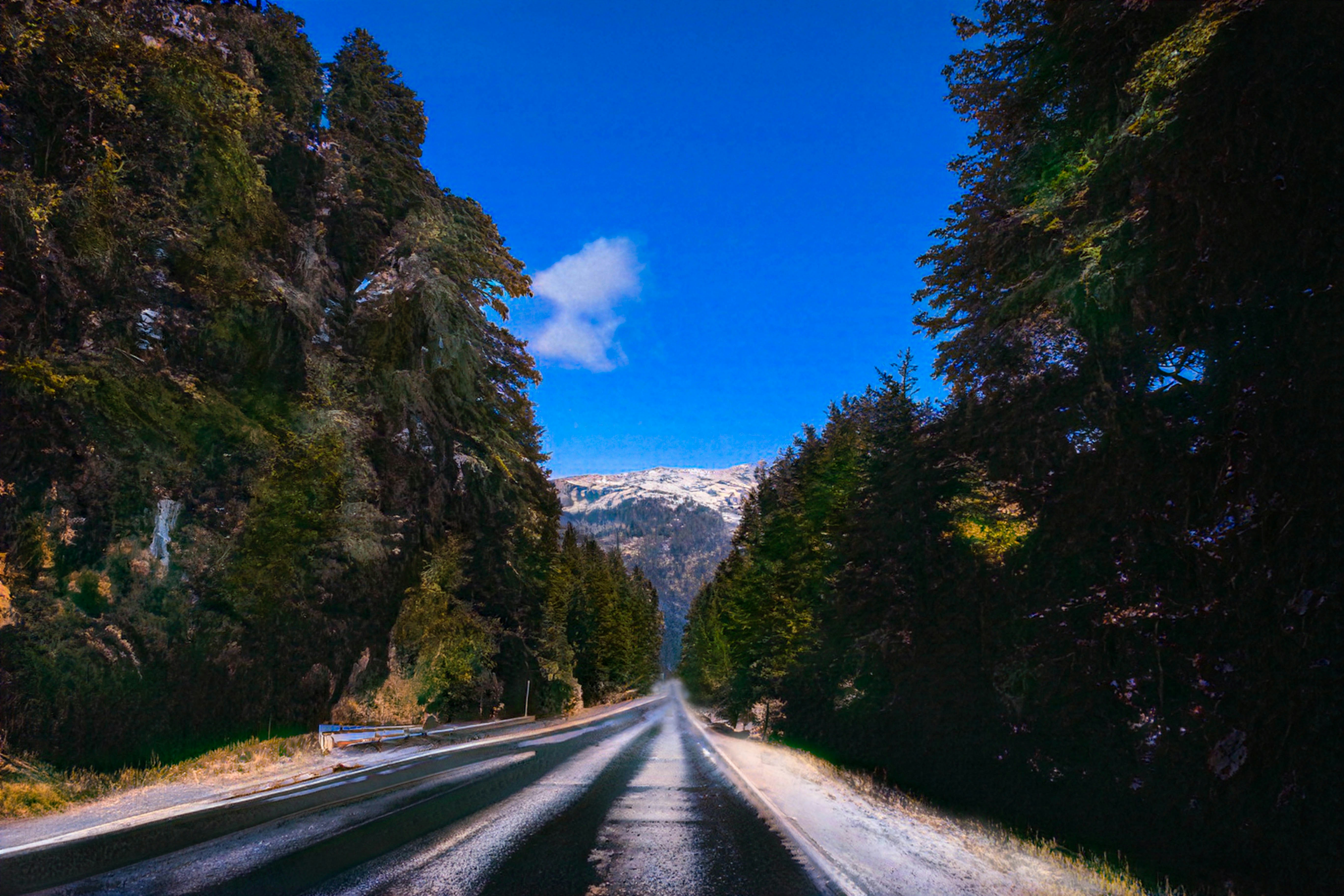 Bariloche – Food & Dining Culture