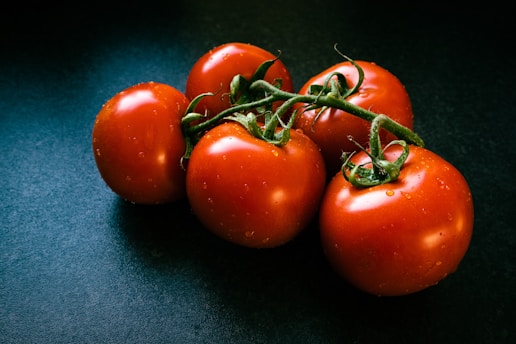 a group of tomatoes