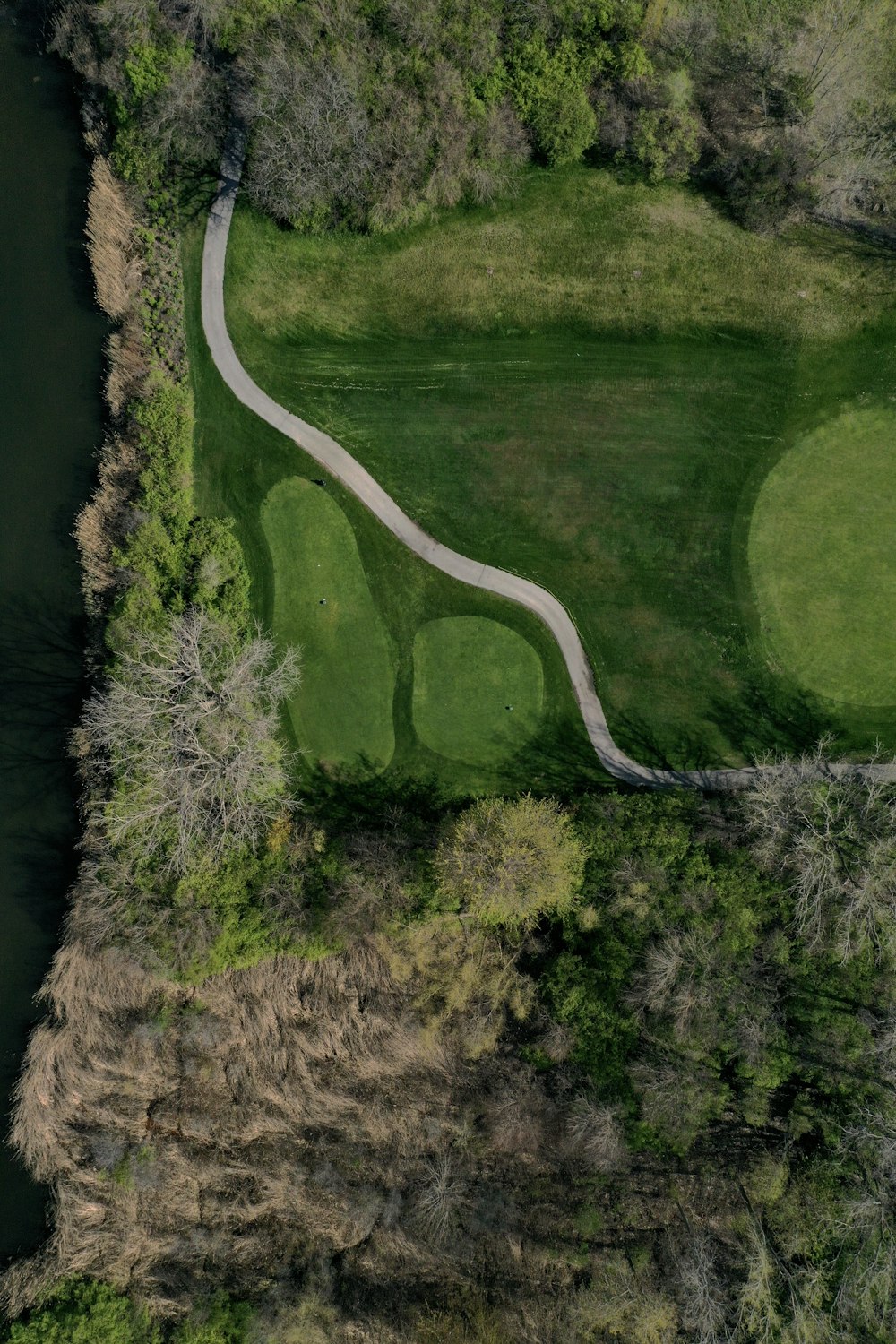 a winding road through a forest