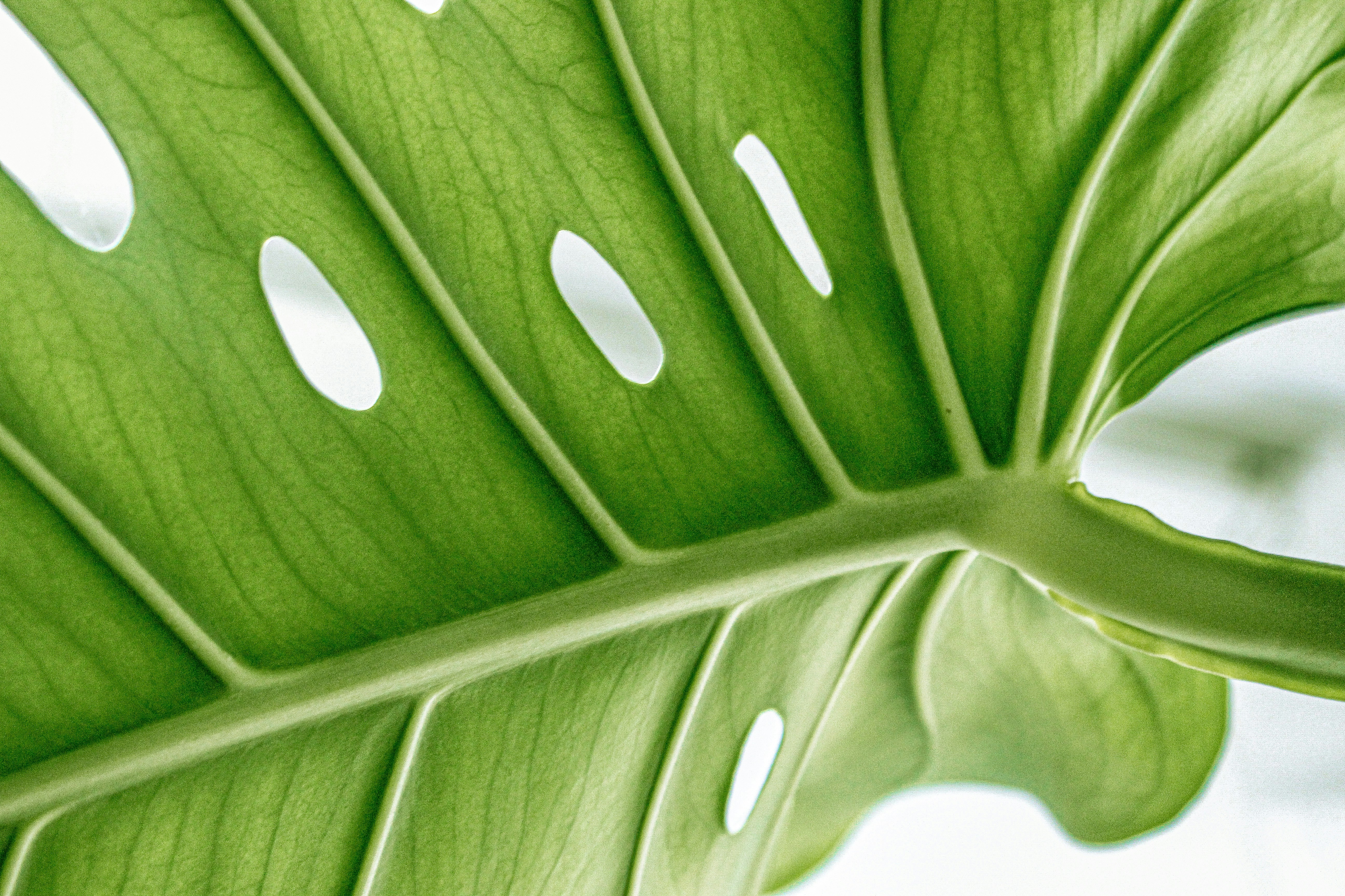 Photo by danicaangel_