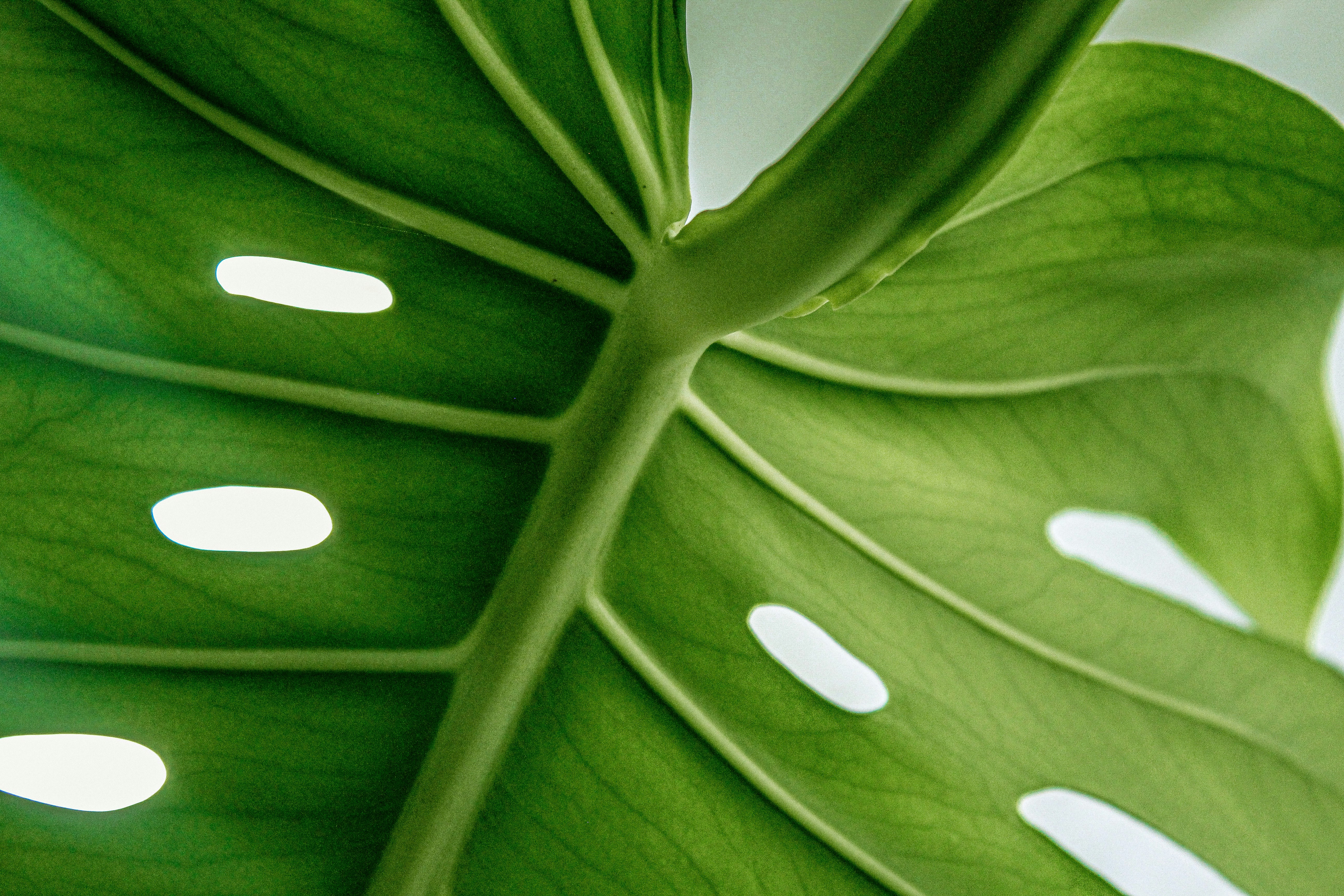 Photo by danicaangel_