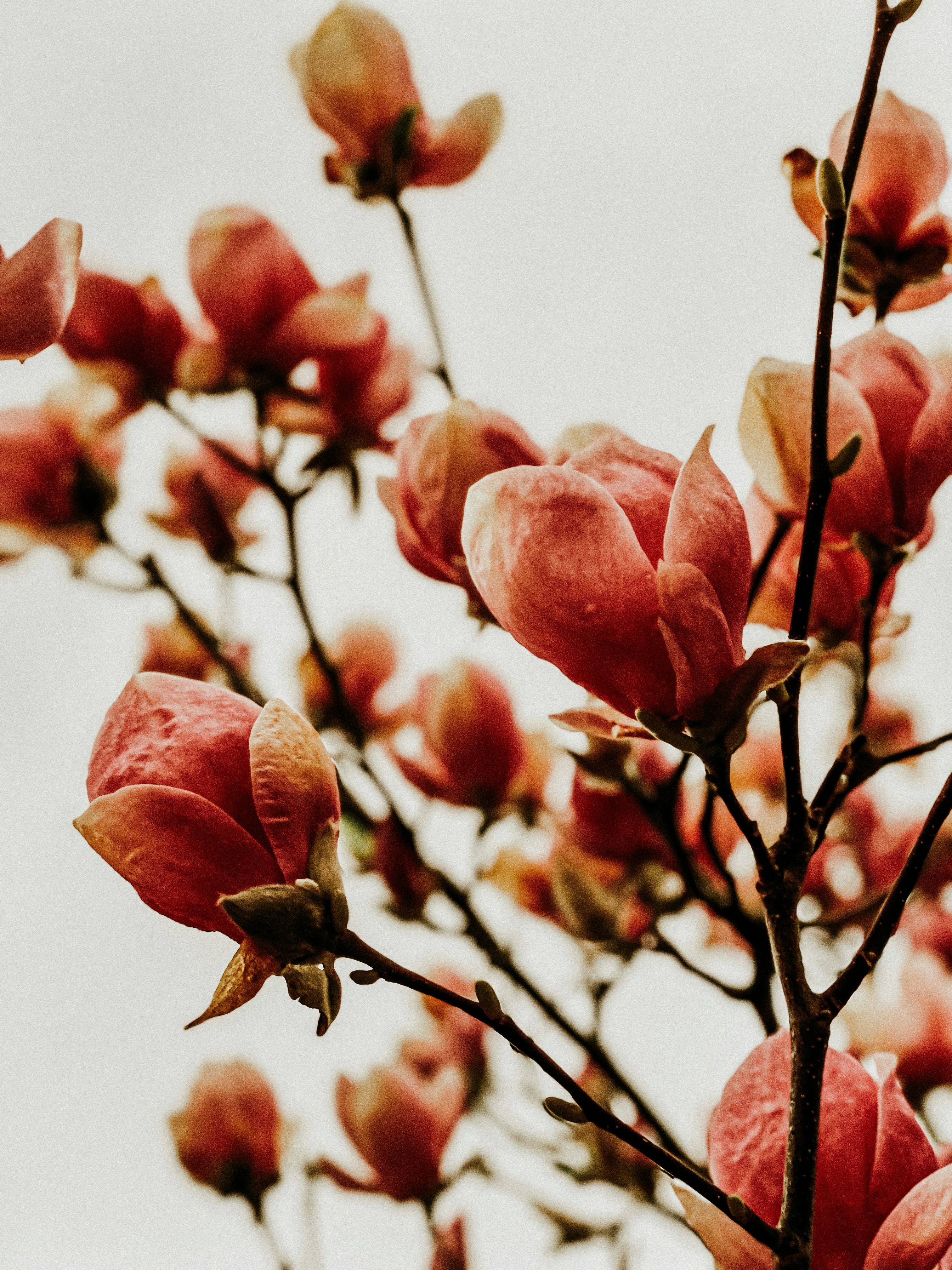 Photo by alina_maria_r