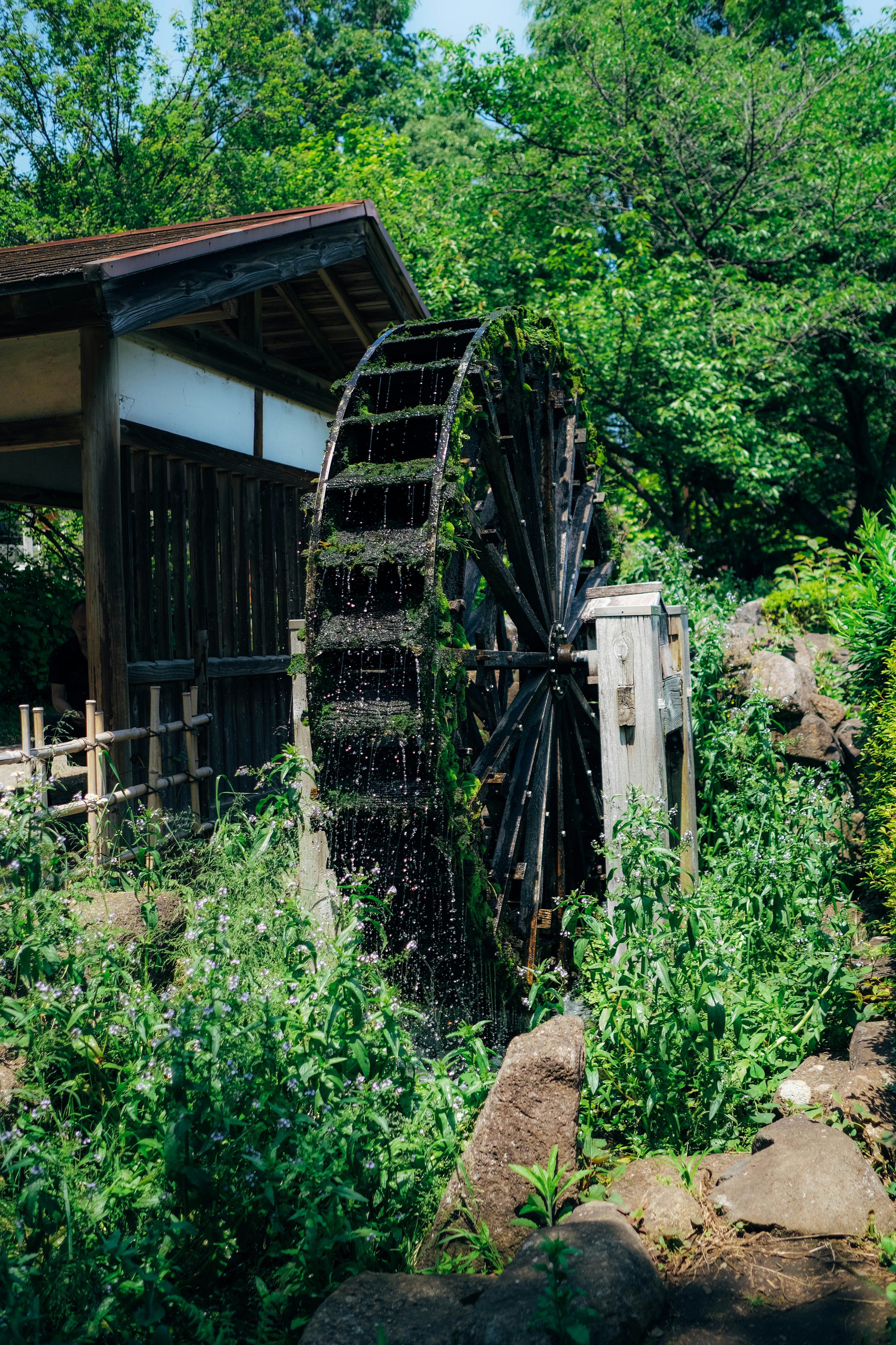 Ein Holzgebäude im Wald