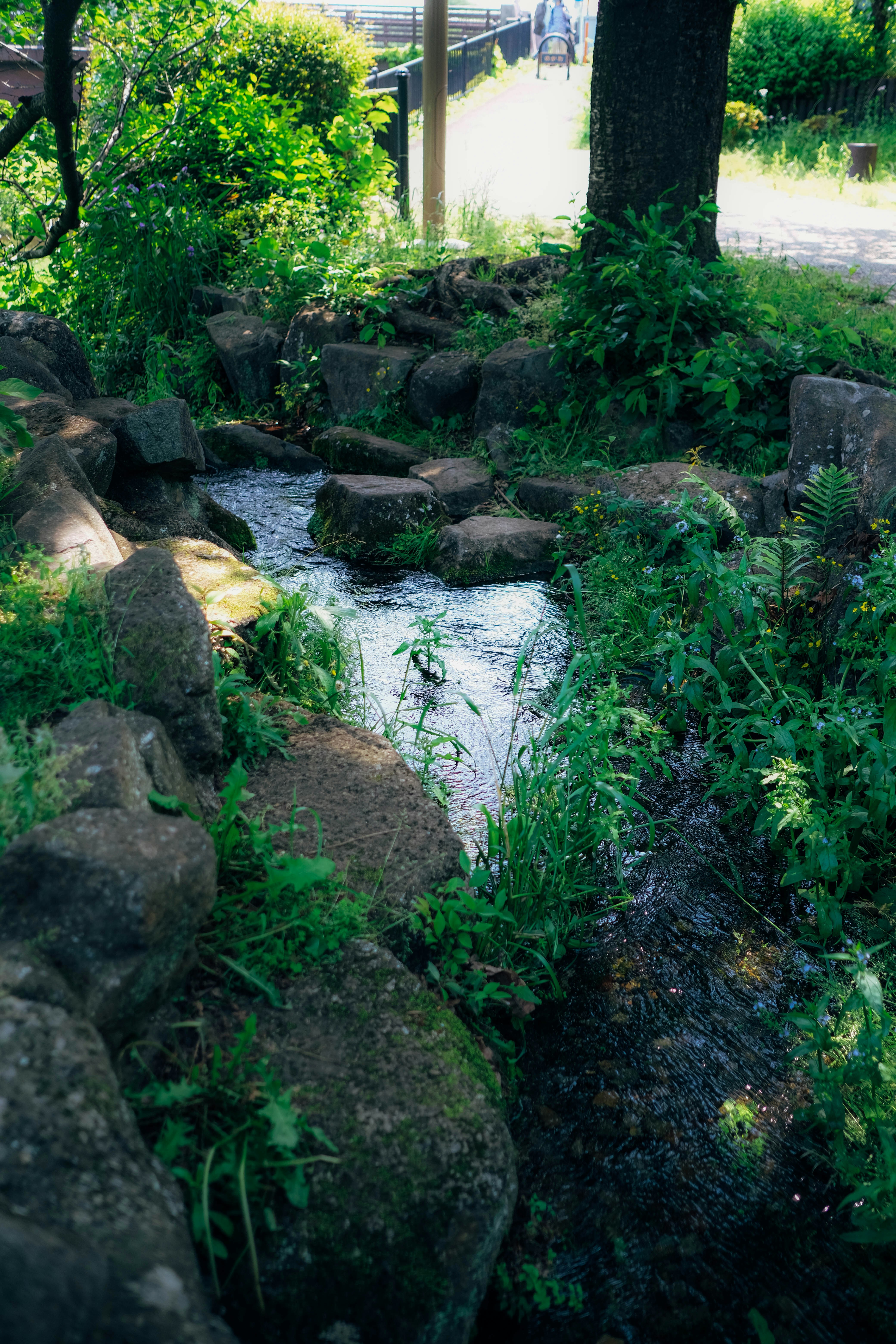 ein Wasserstrom, der von Felsen umgeben ist