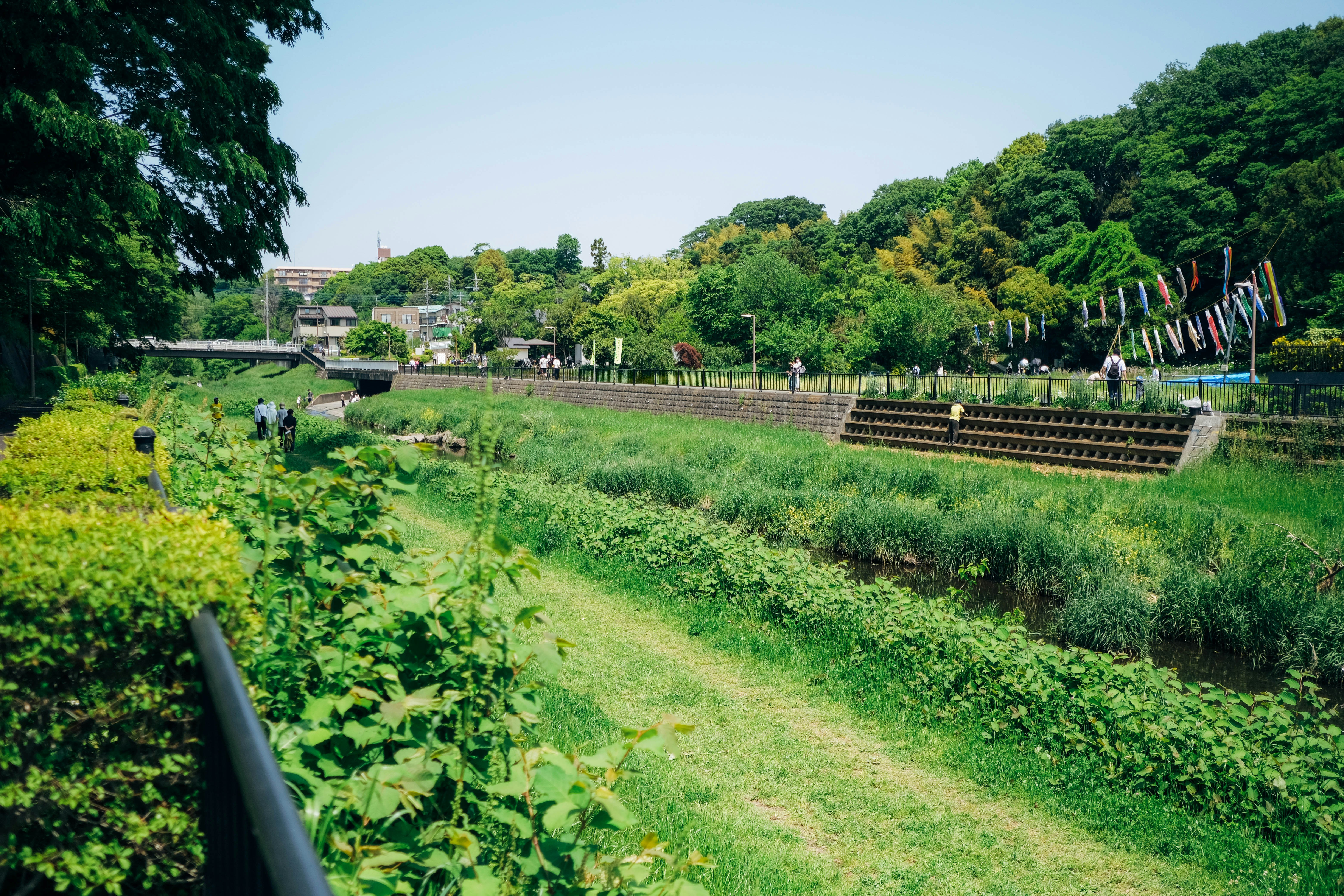 ein Garten mit einem Weg und Bäumen