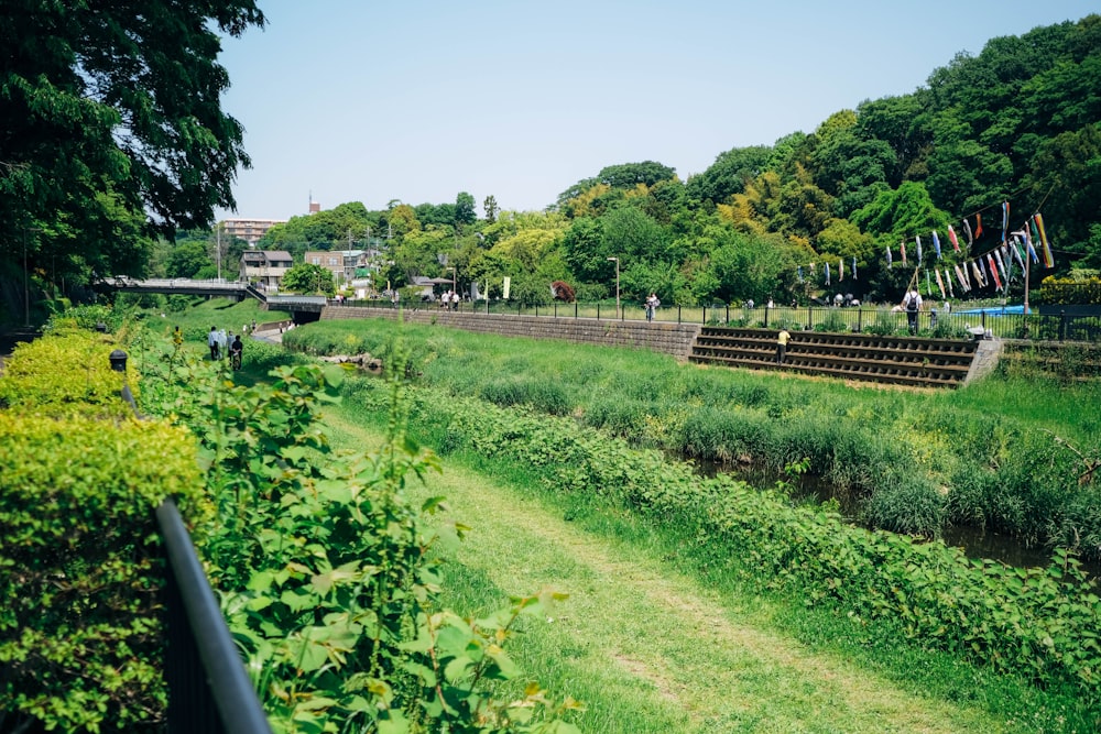 a garden with a path and trees