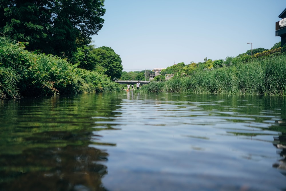 a body of water with trees around it