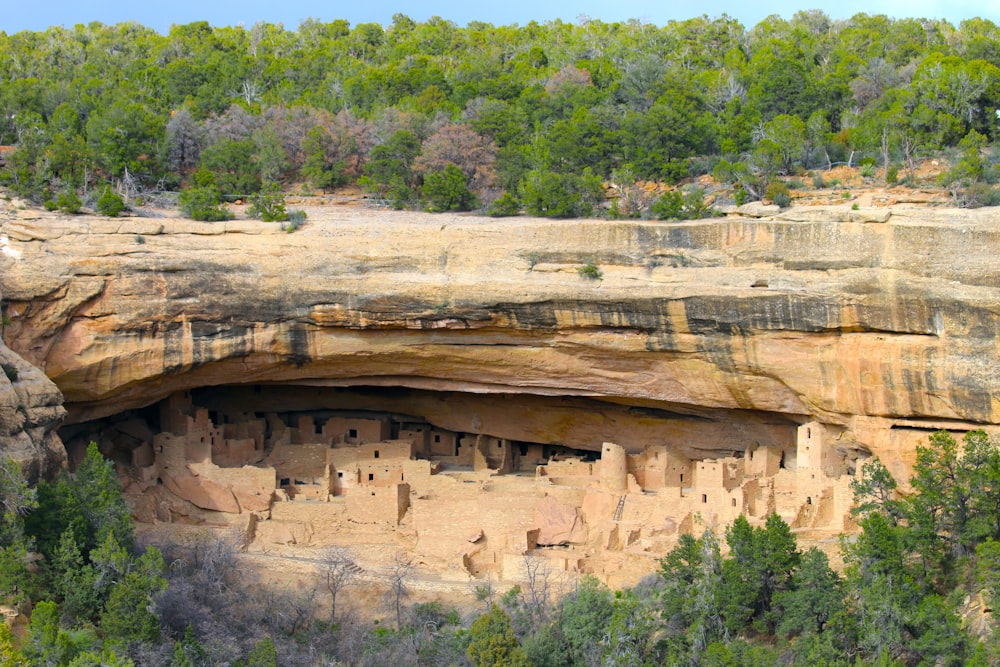 a large rock cliff with trees with Mesa Verde National Park in the background