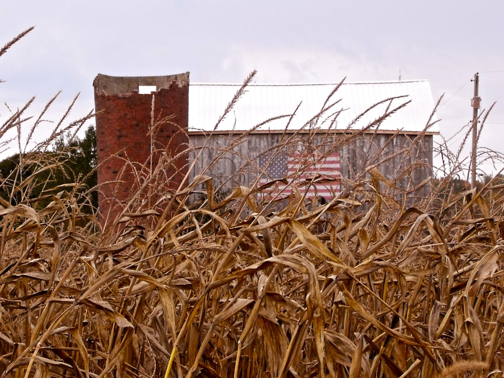 a large metal structure in a field