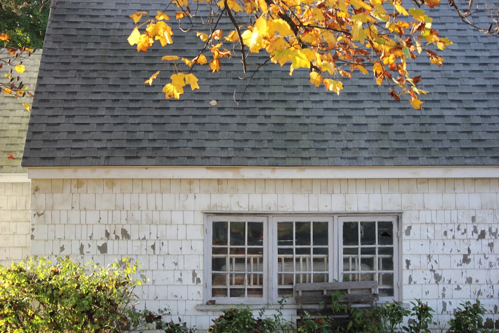 a house with a tree in the front