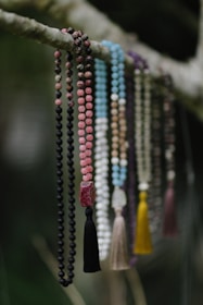 a close-up of several necklaces