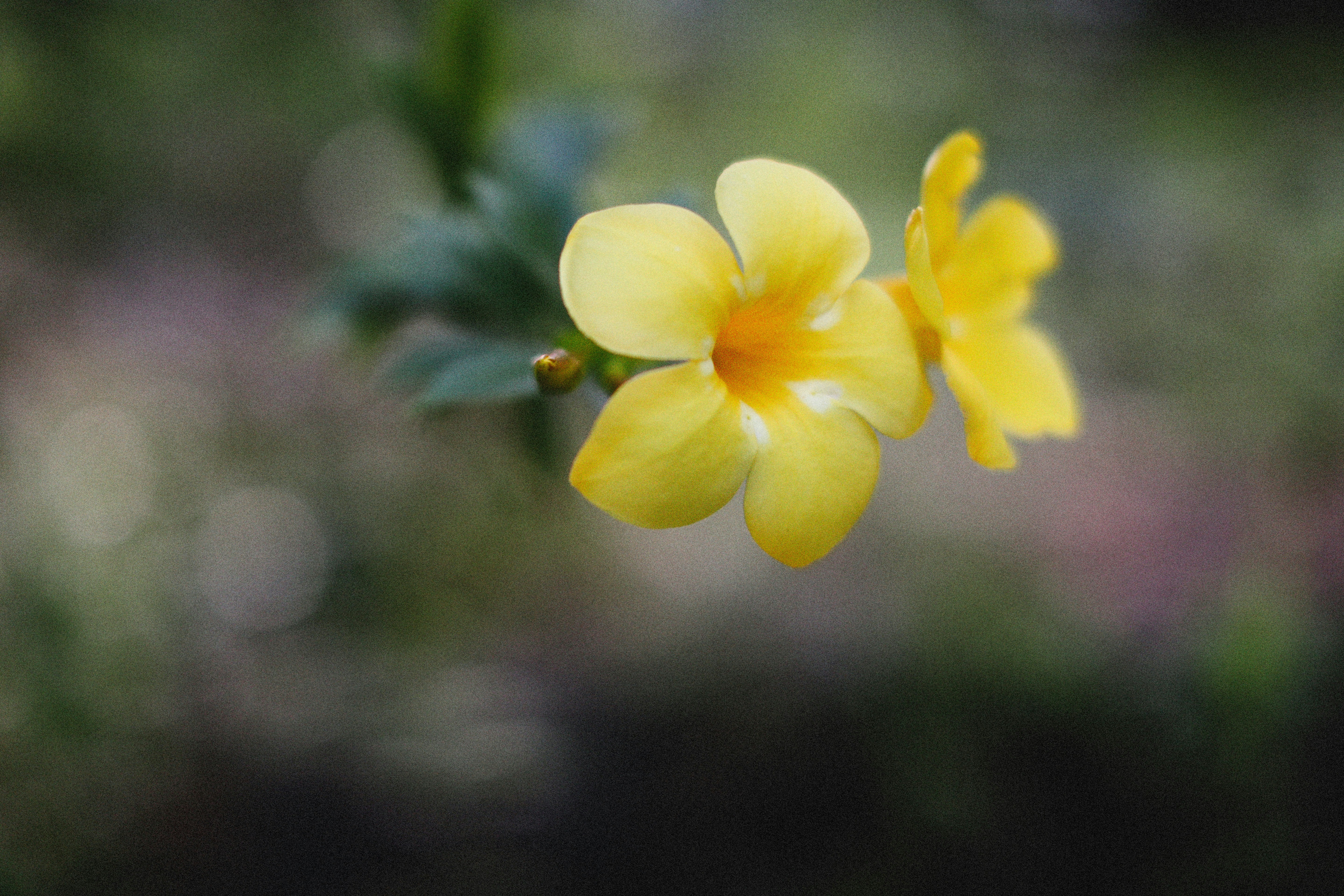 Photo by alexeydemidov