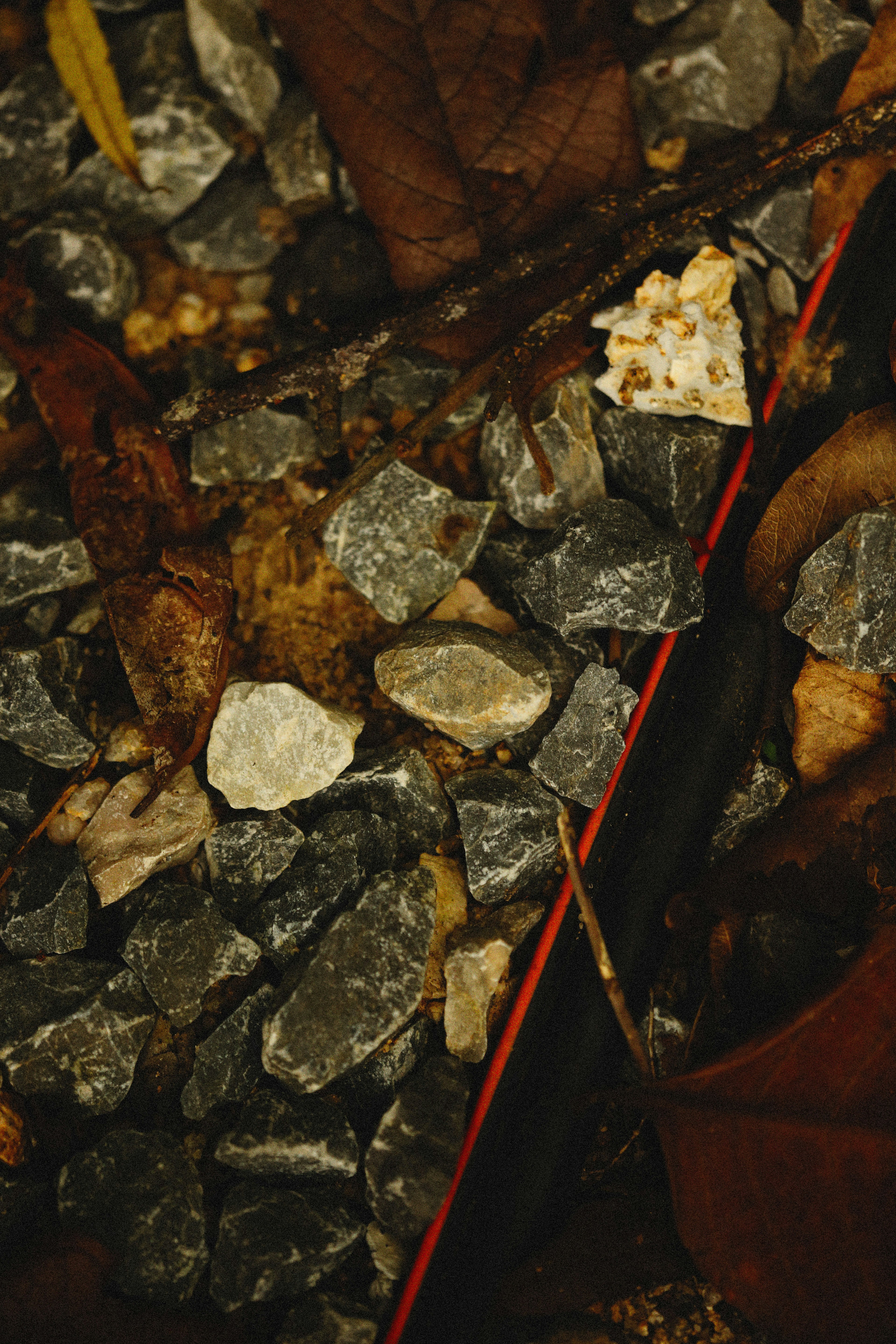 Photo by alexeydemidov