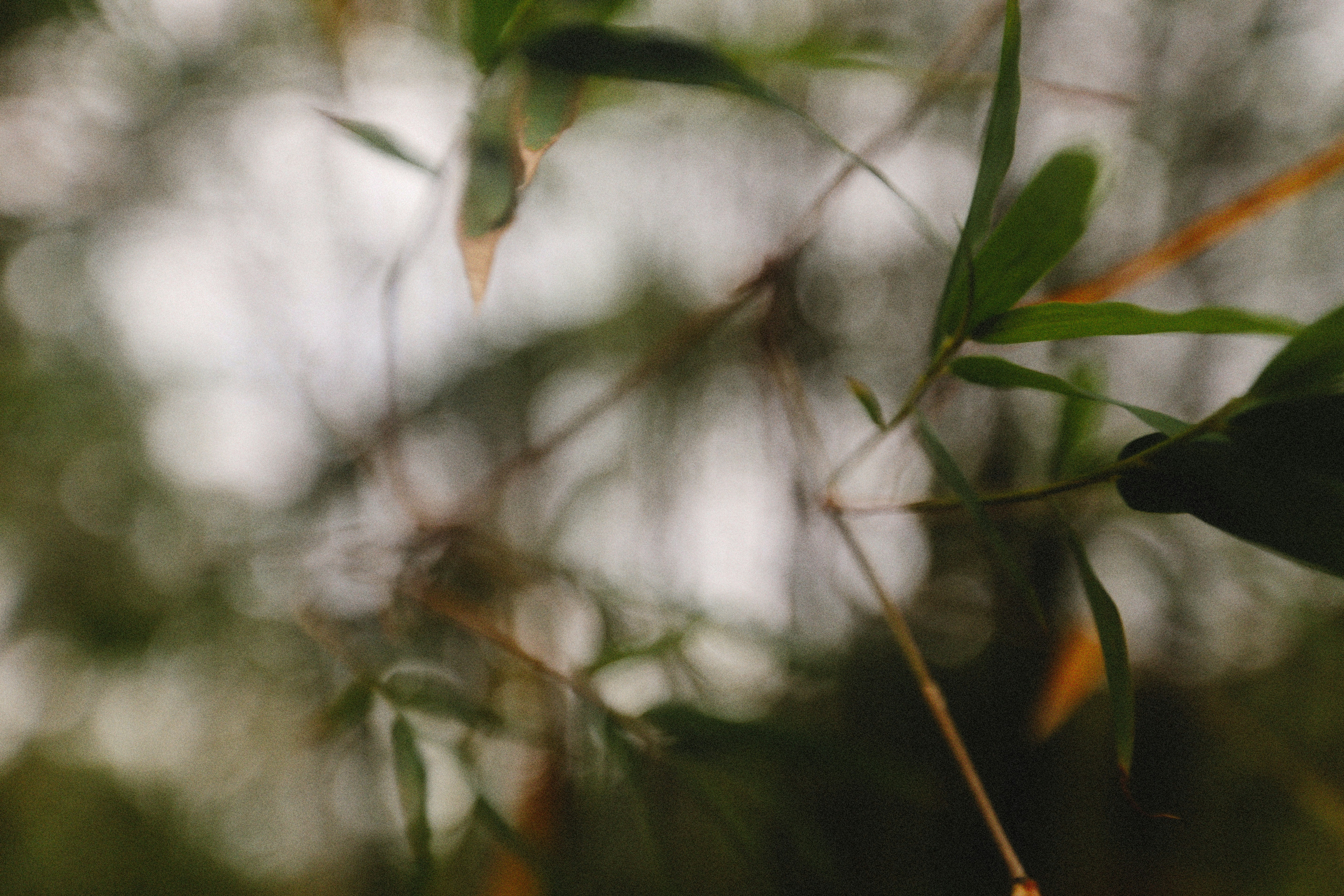 Photo by alexeydemidov