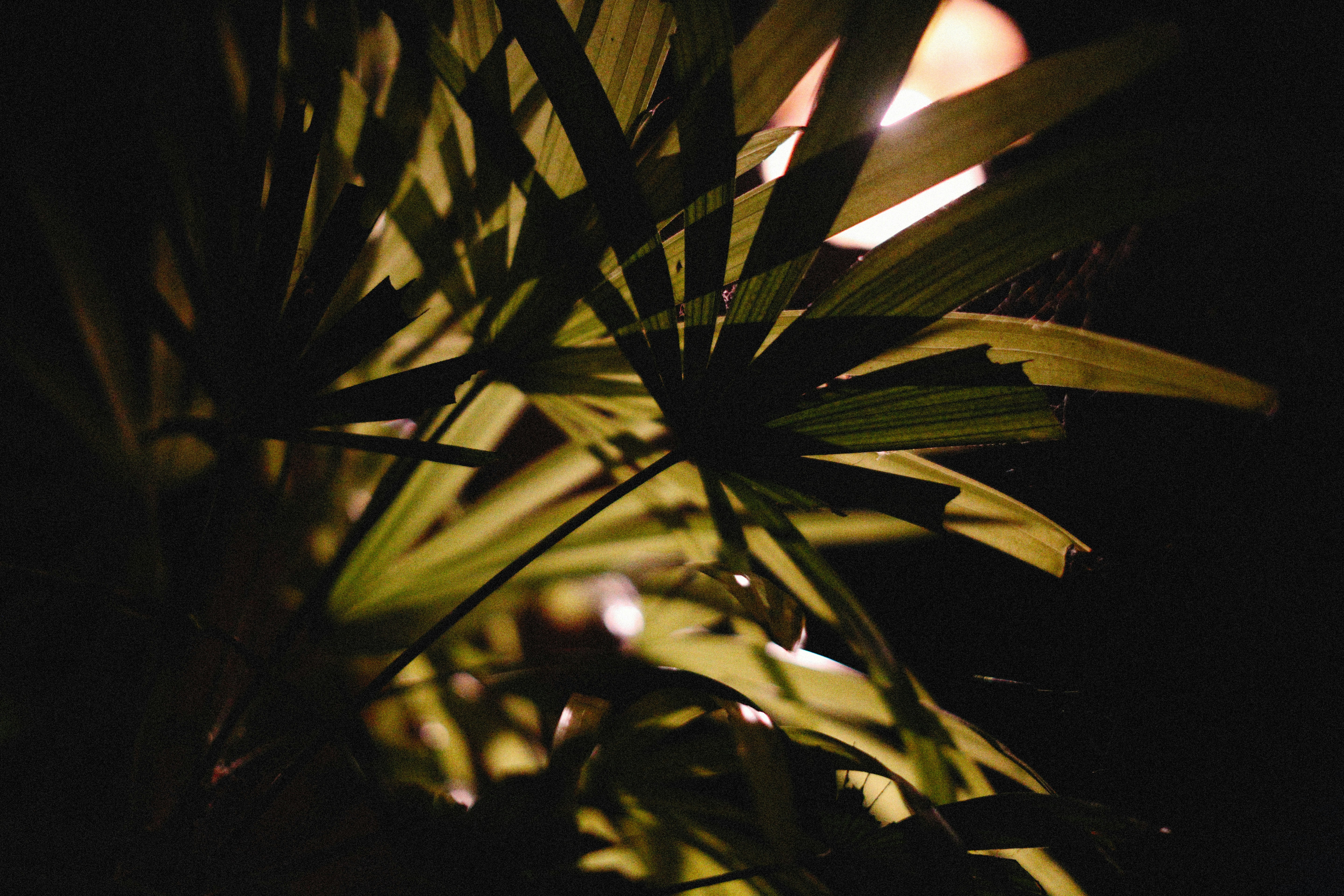 Photo by alexeydemidov