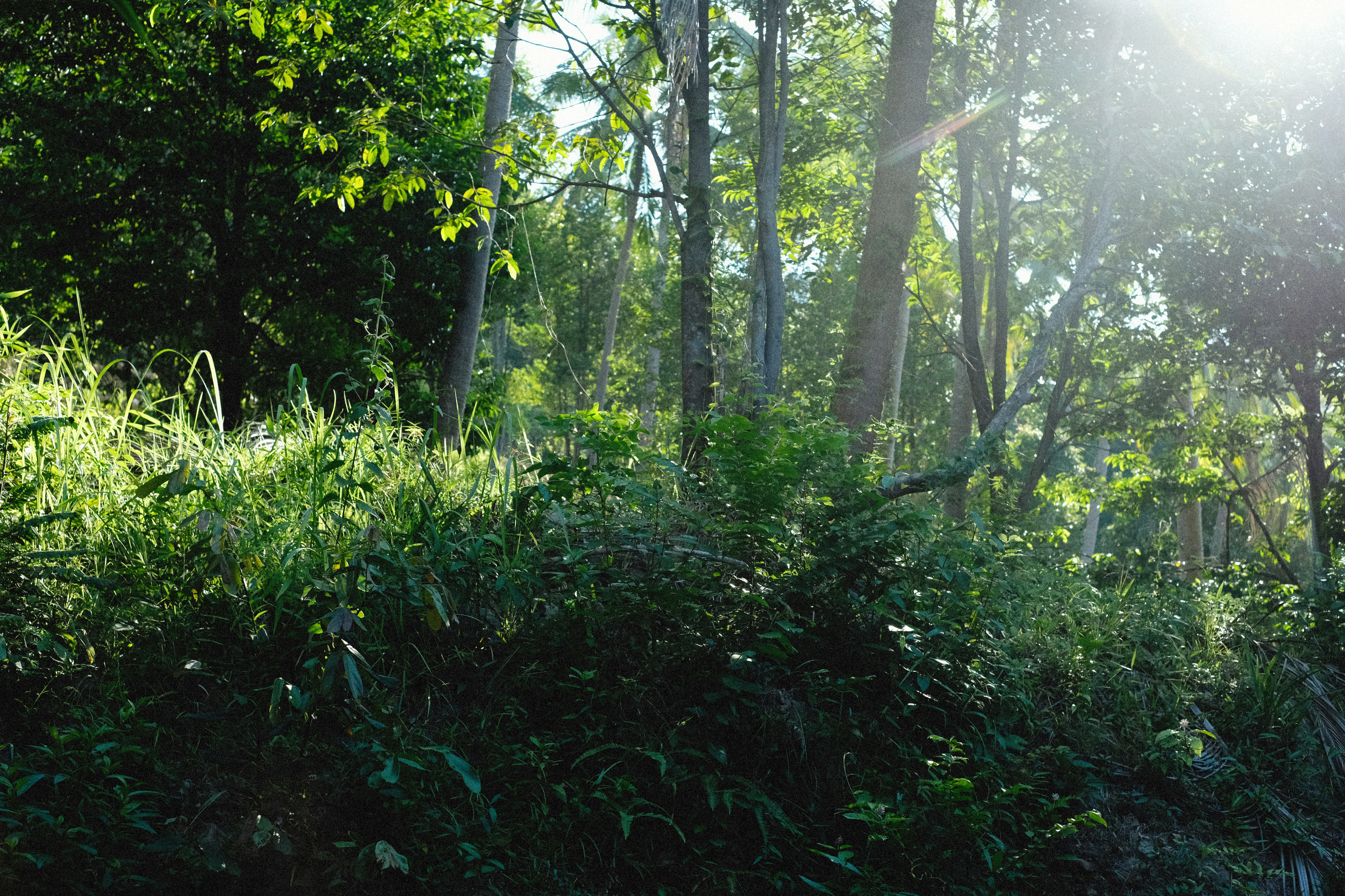 Photo by alexeydemidov