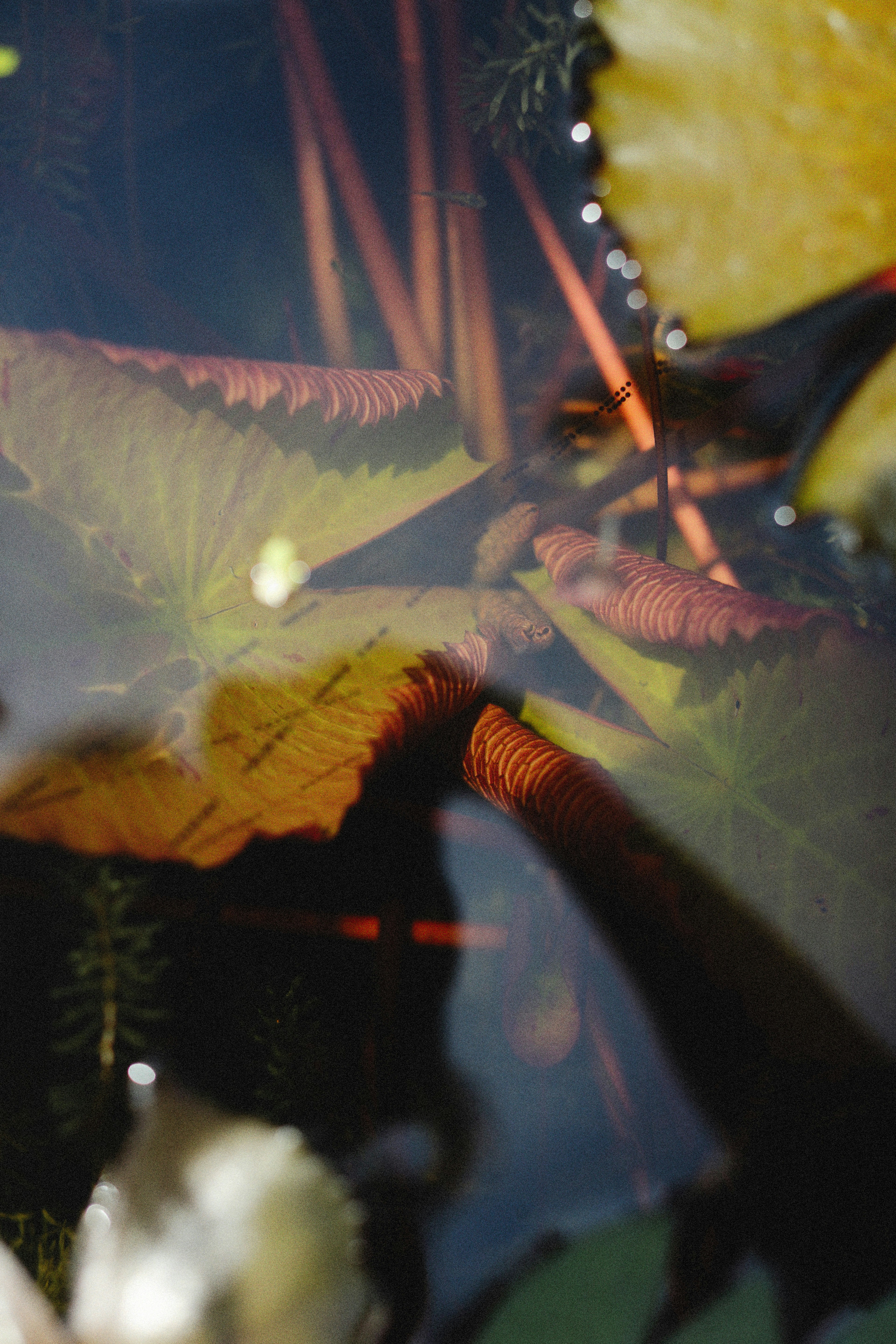 Photo by alexeydemidov