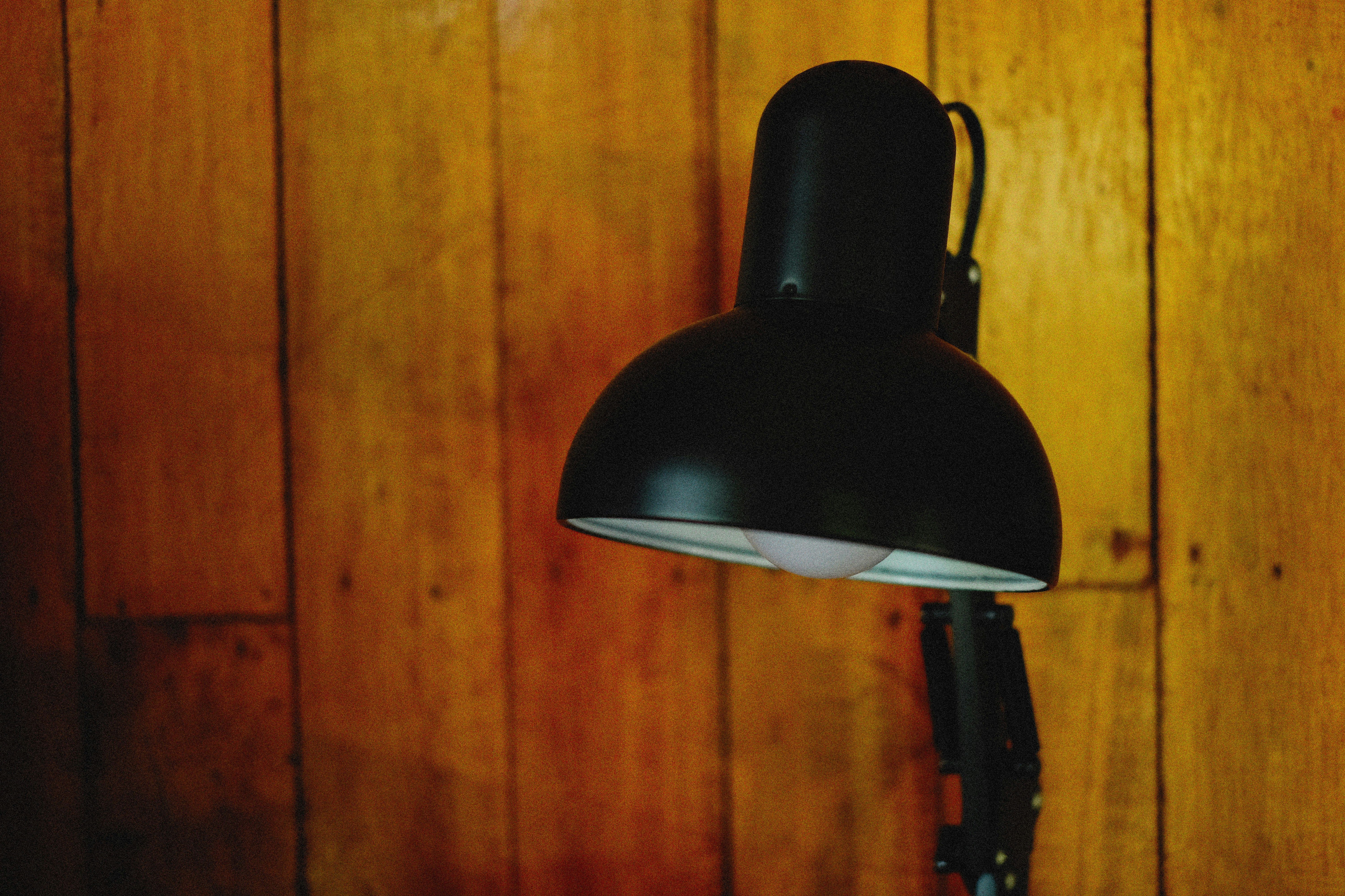 Photo by alexeydemidov