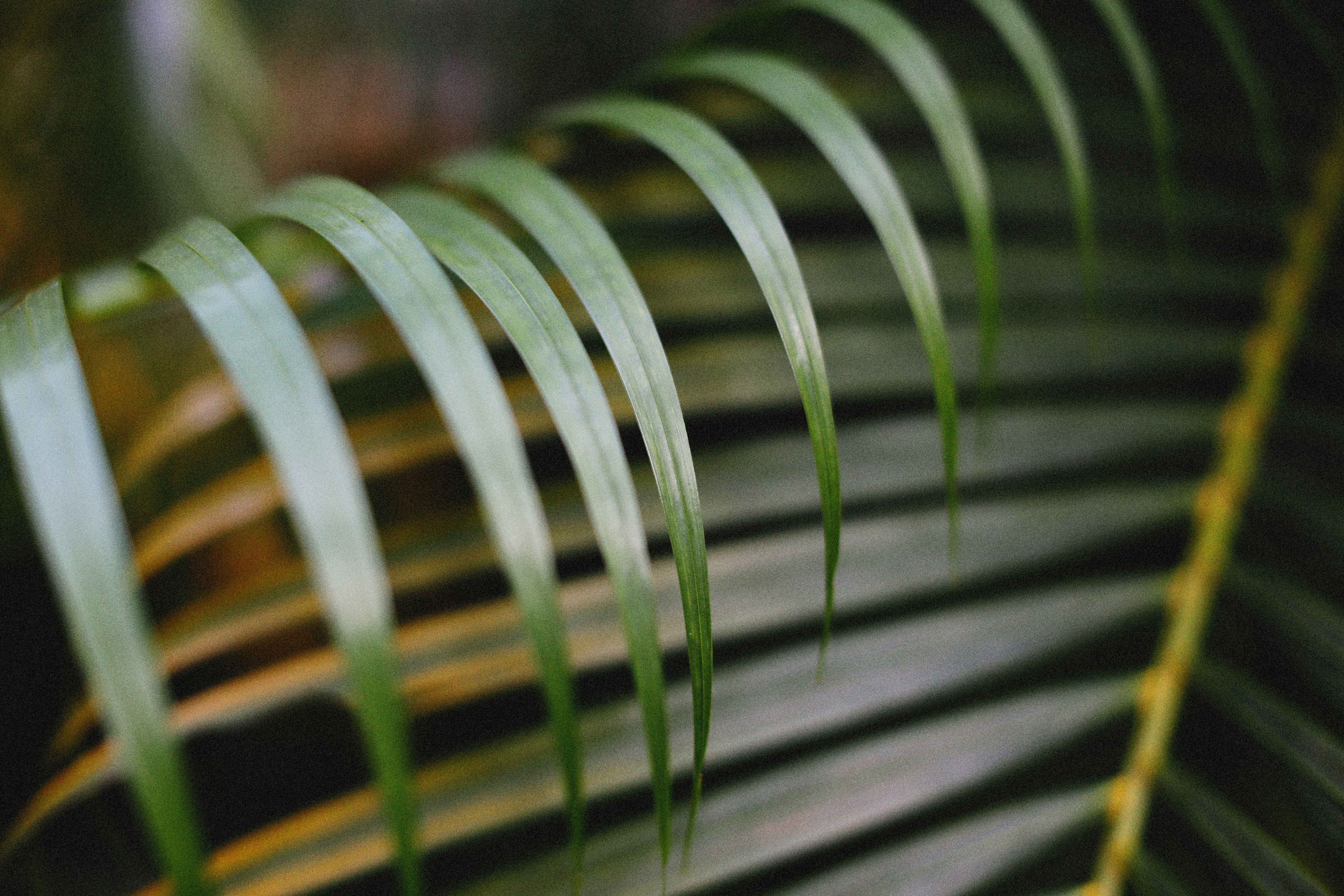 Photo by alexeydemidov