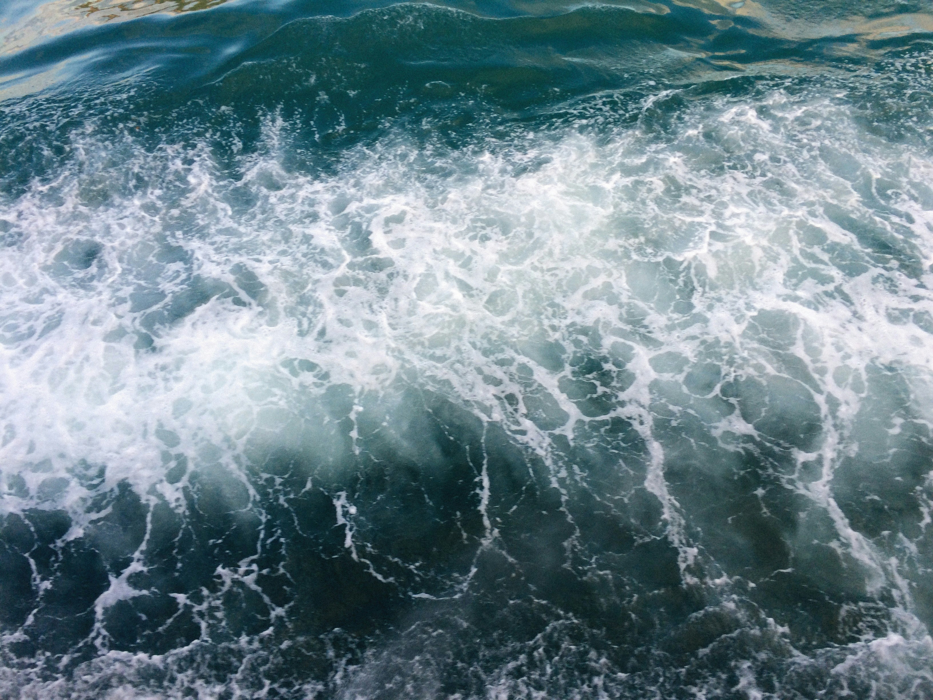 Photo by alexeydemidov