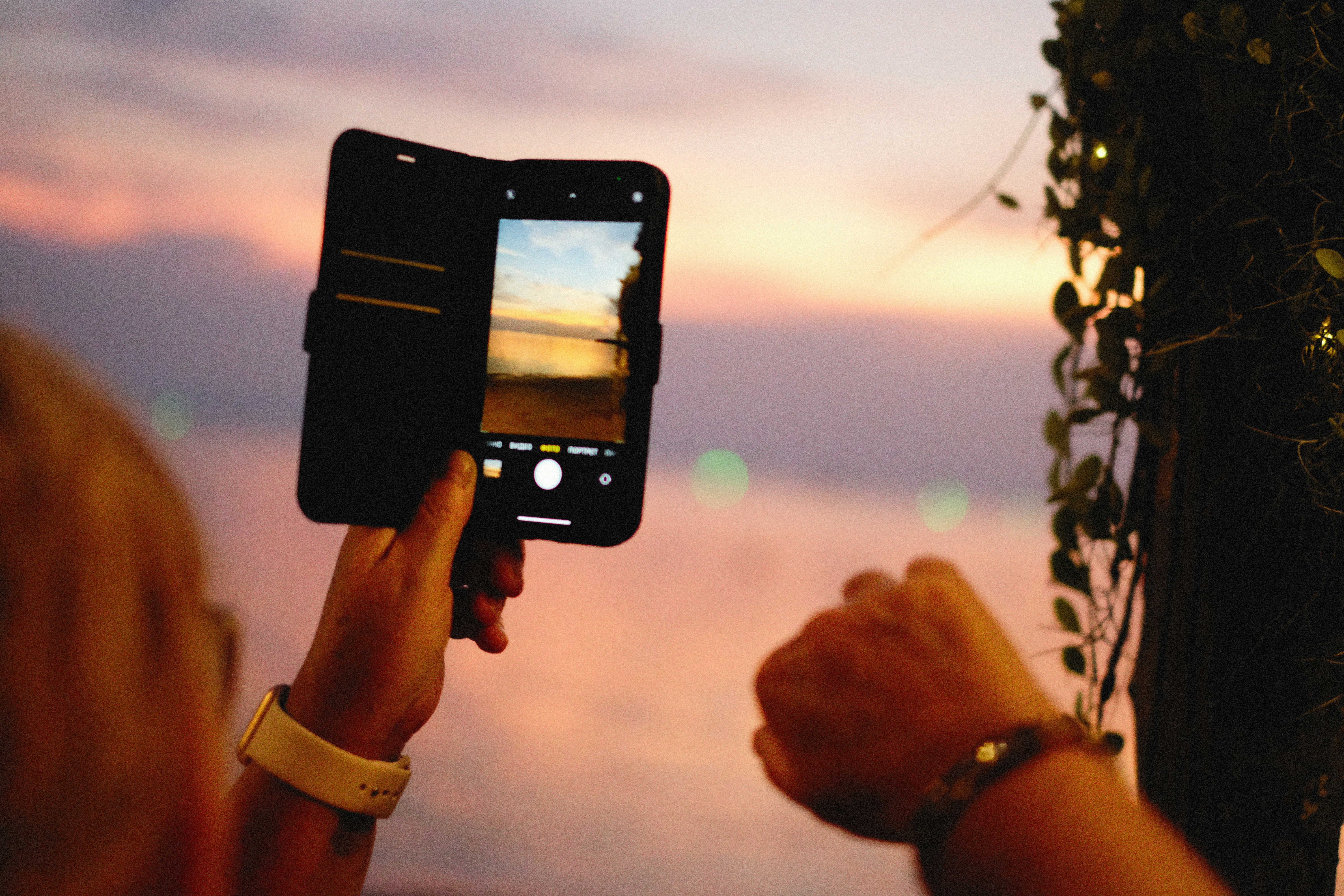 Photo by alexeydemidov