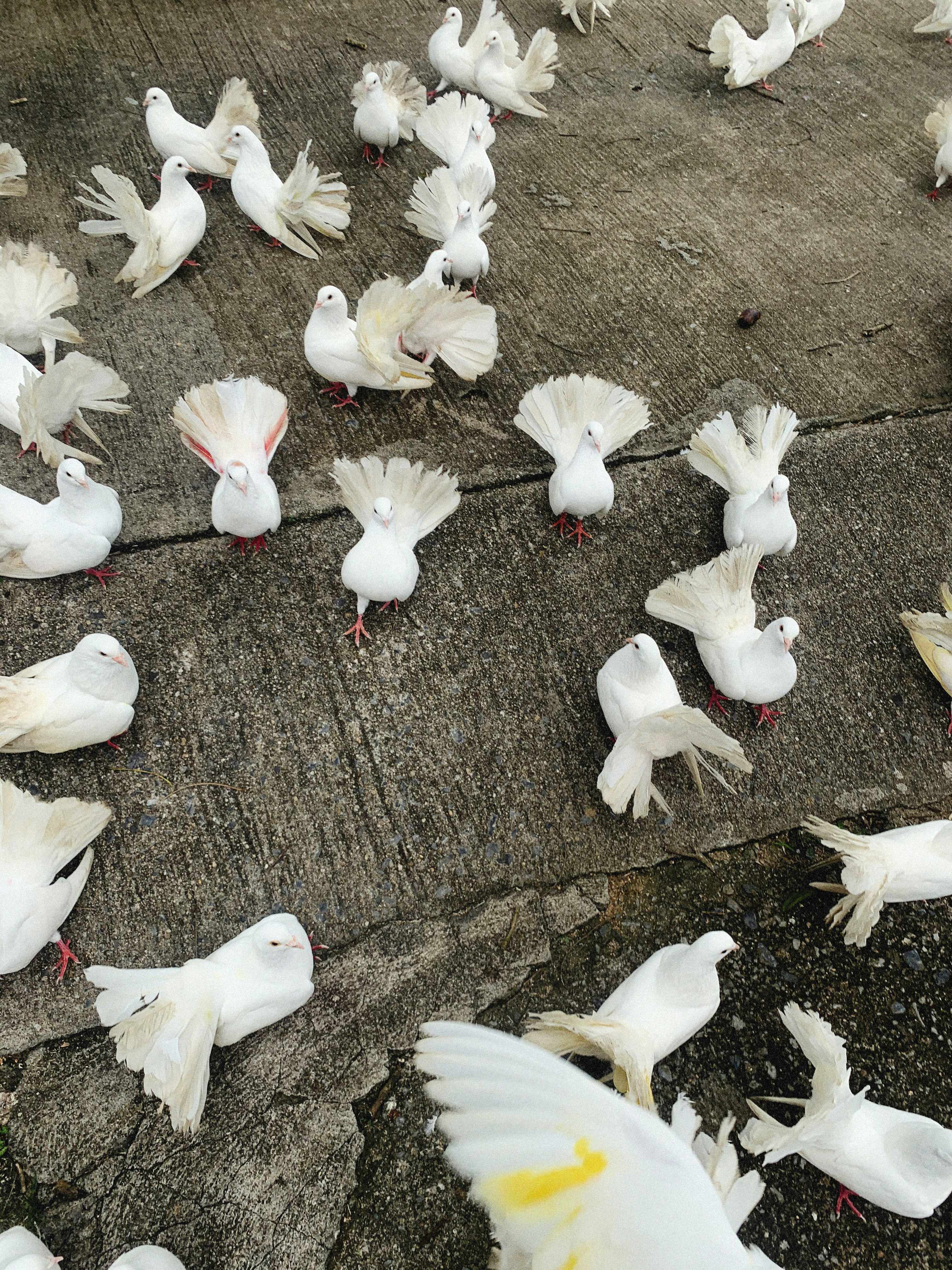 Photo by alexeydemidov