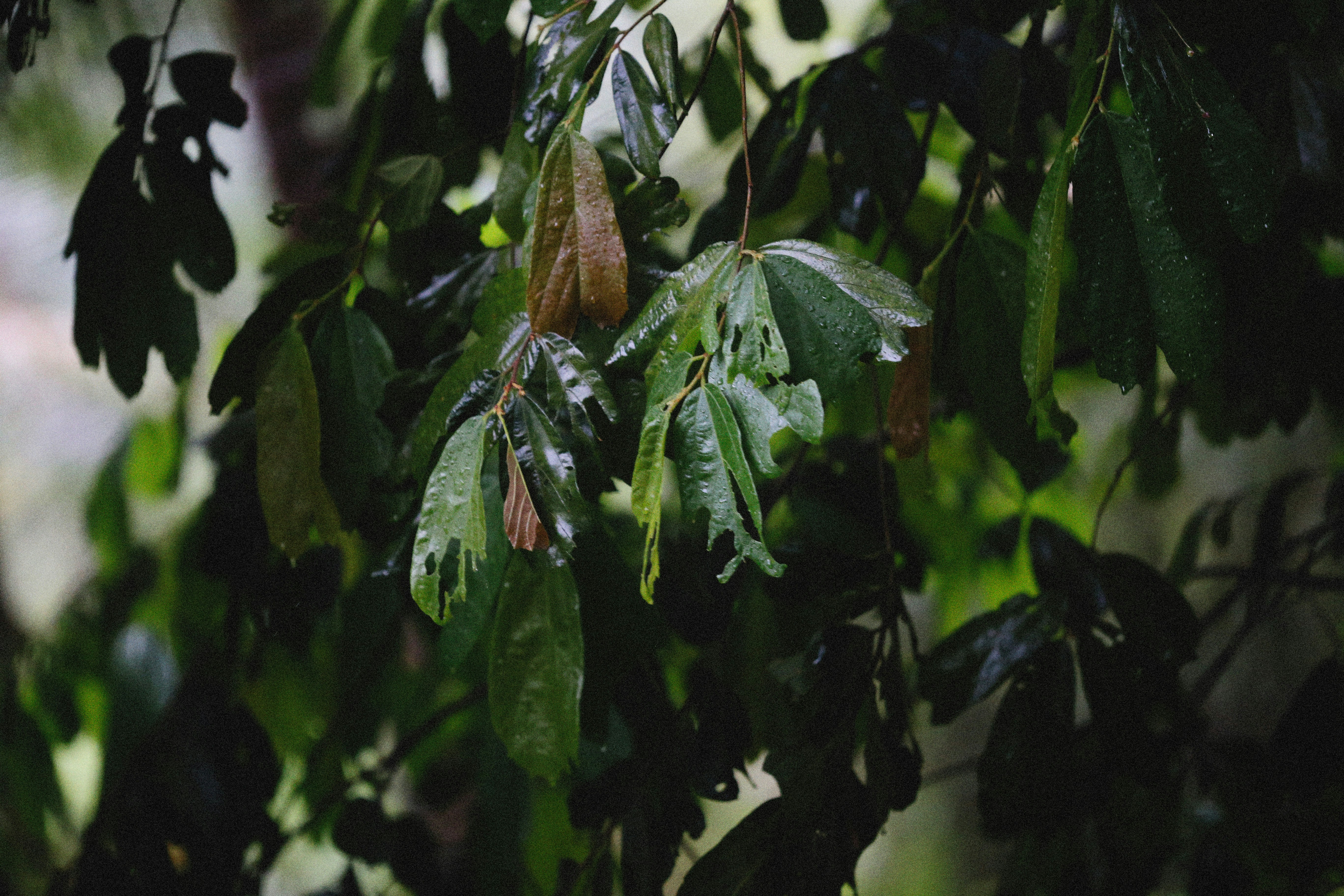 Photo by alexeydemidov