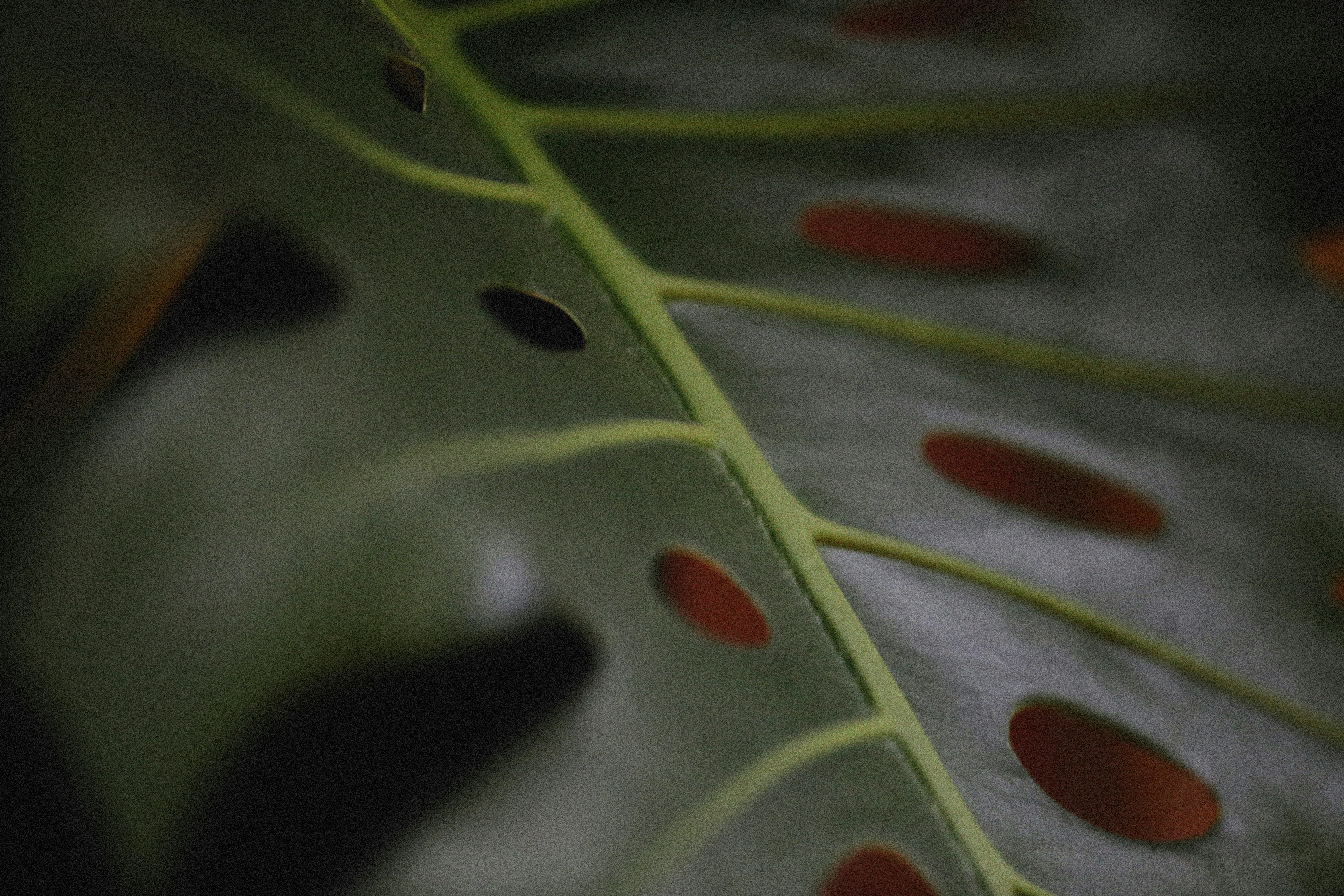 Photo by alexeydemidov