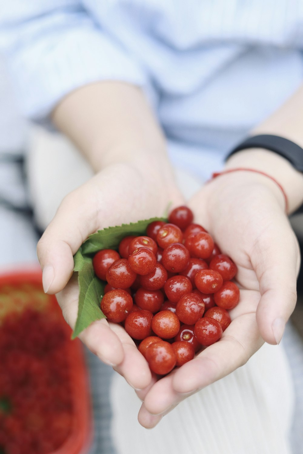 a person holding a handful of red berries