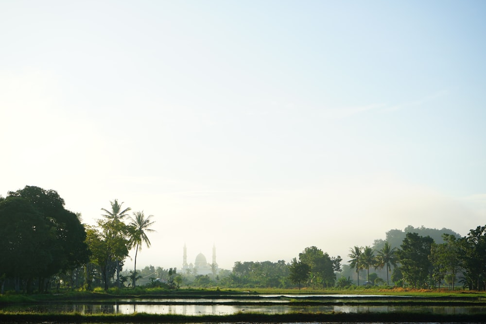 a body of water with trees around it