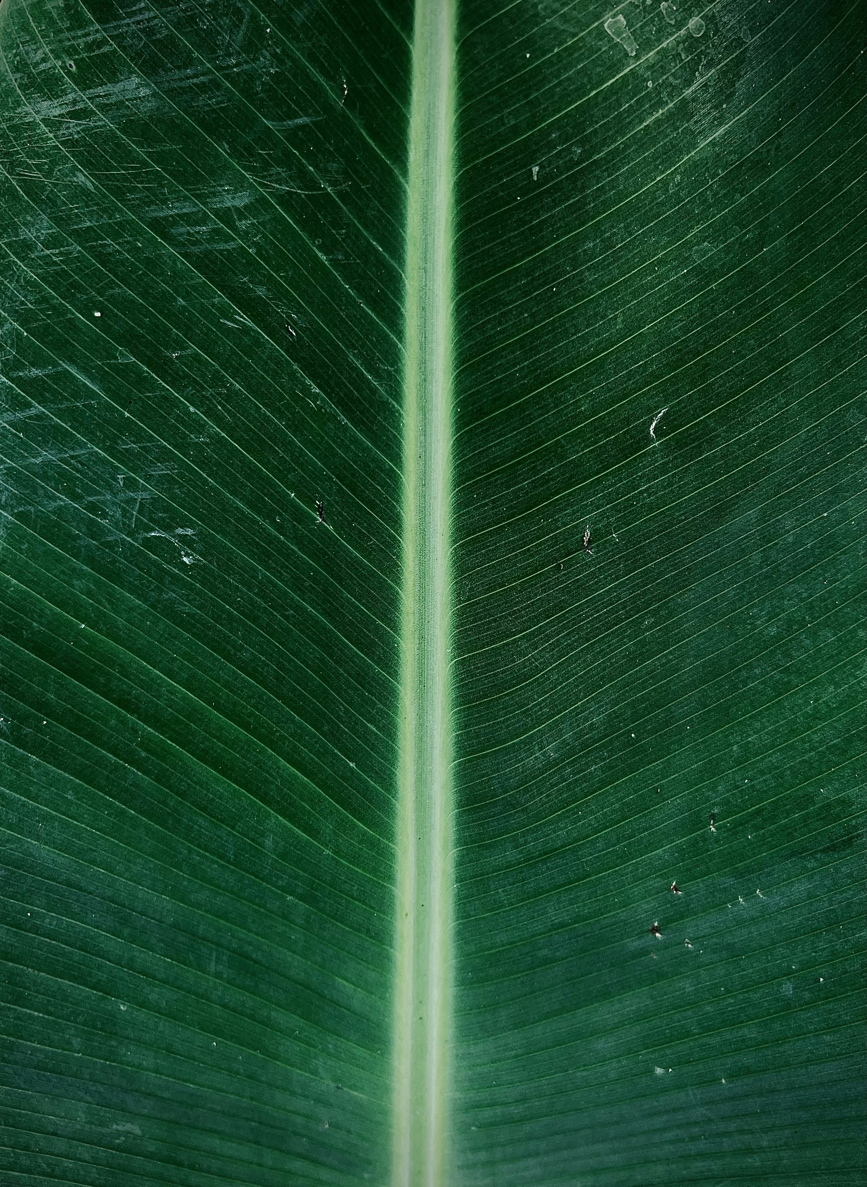 Photo by ryan369