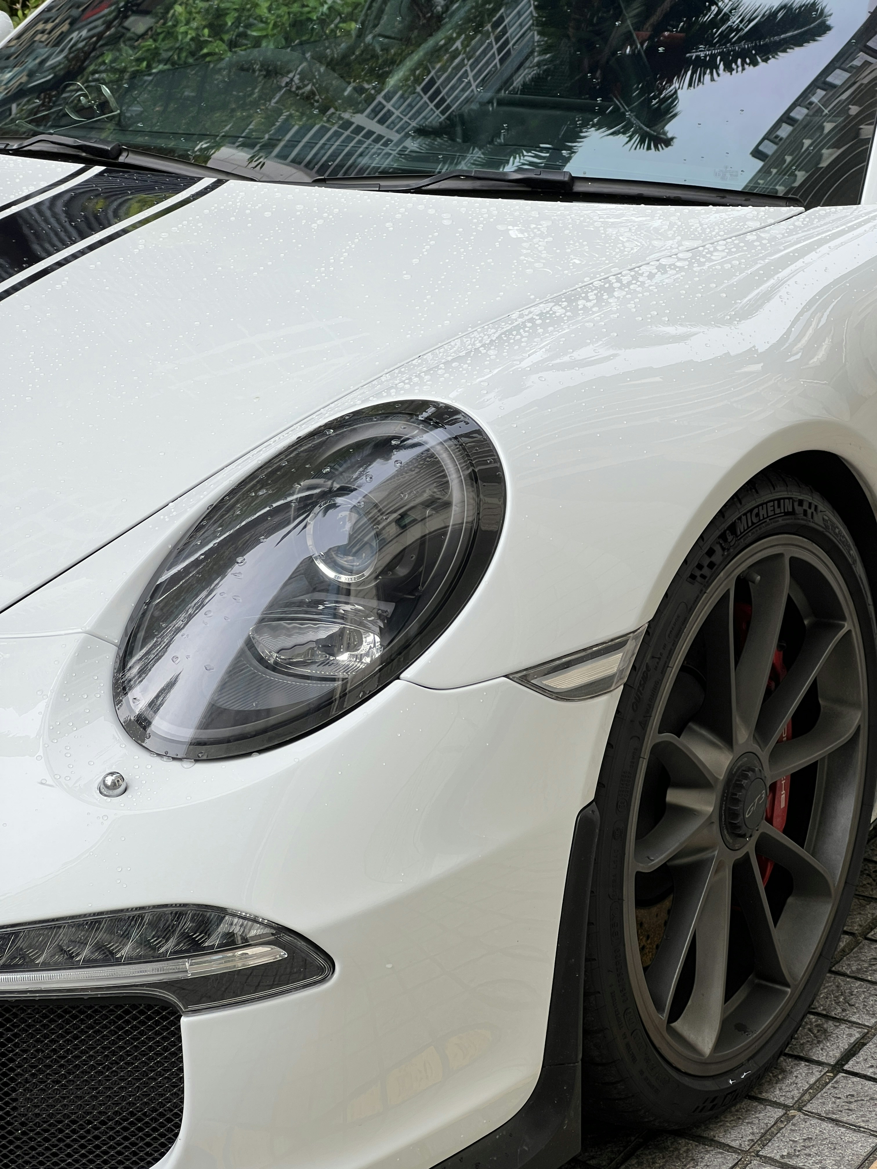 Photo by verdeselvans